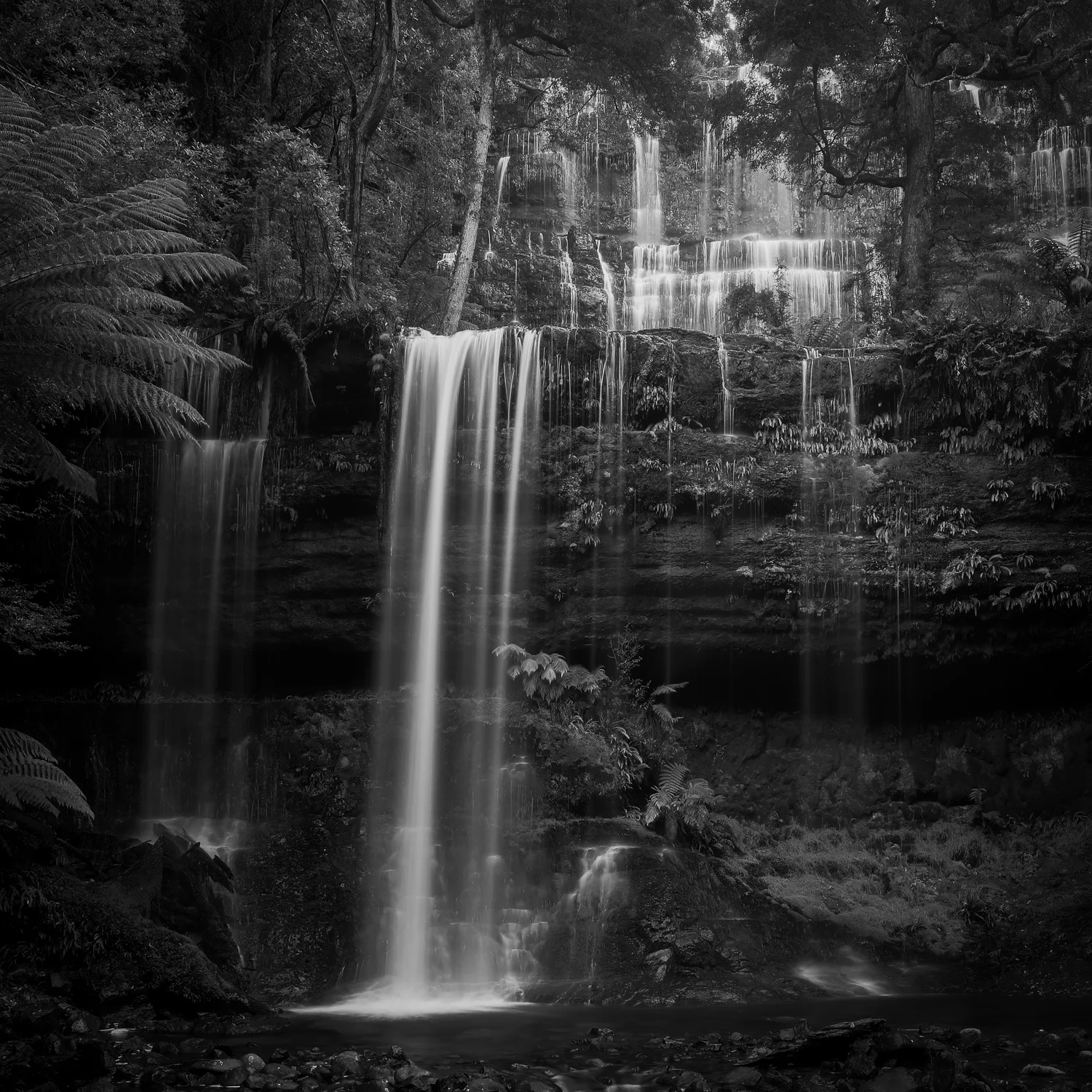 “Russell Falls” Tasmania, Australia