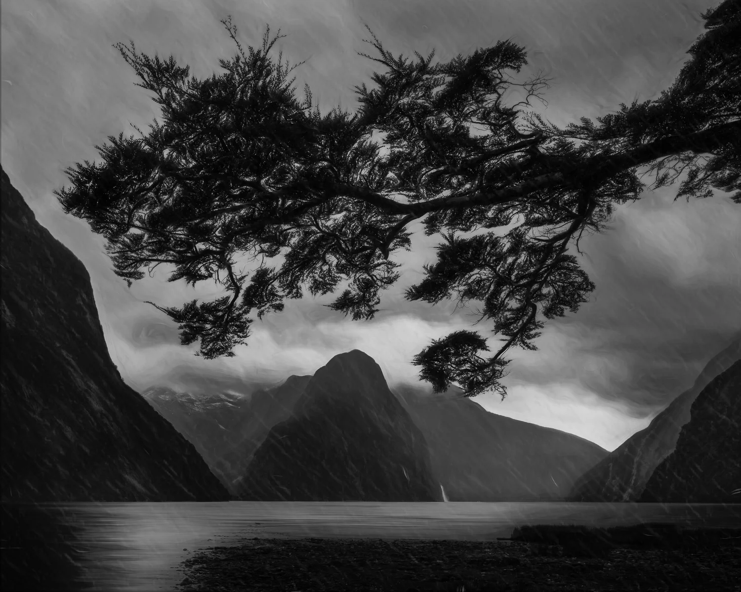 “Milford Tree” Milford Sound, New Zealand.