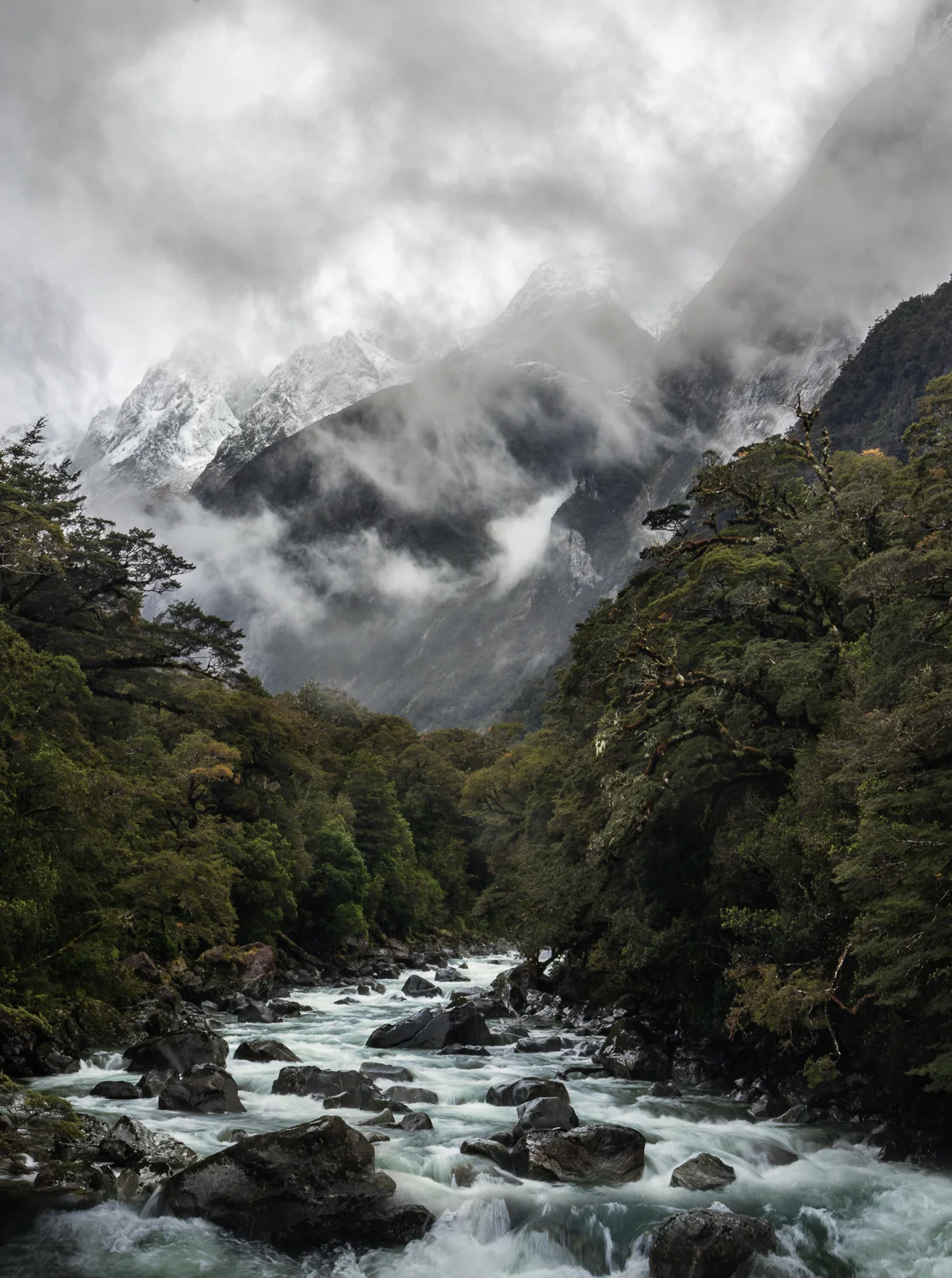 " New Zealand BS” New Zealand has it All, taken on the way to Milford Sound, New Zealand.