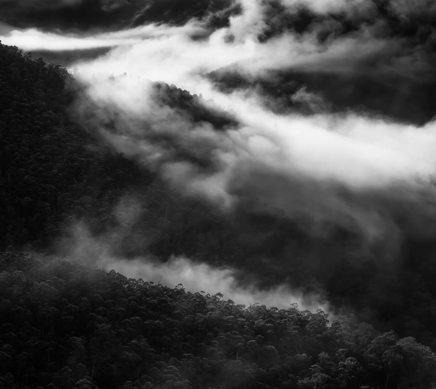 “Fog over the Jamison Valley” Sydney, Blue Mountains Australia.