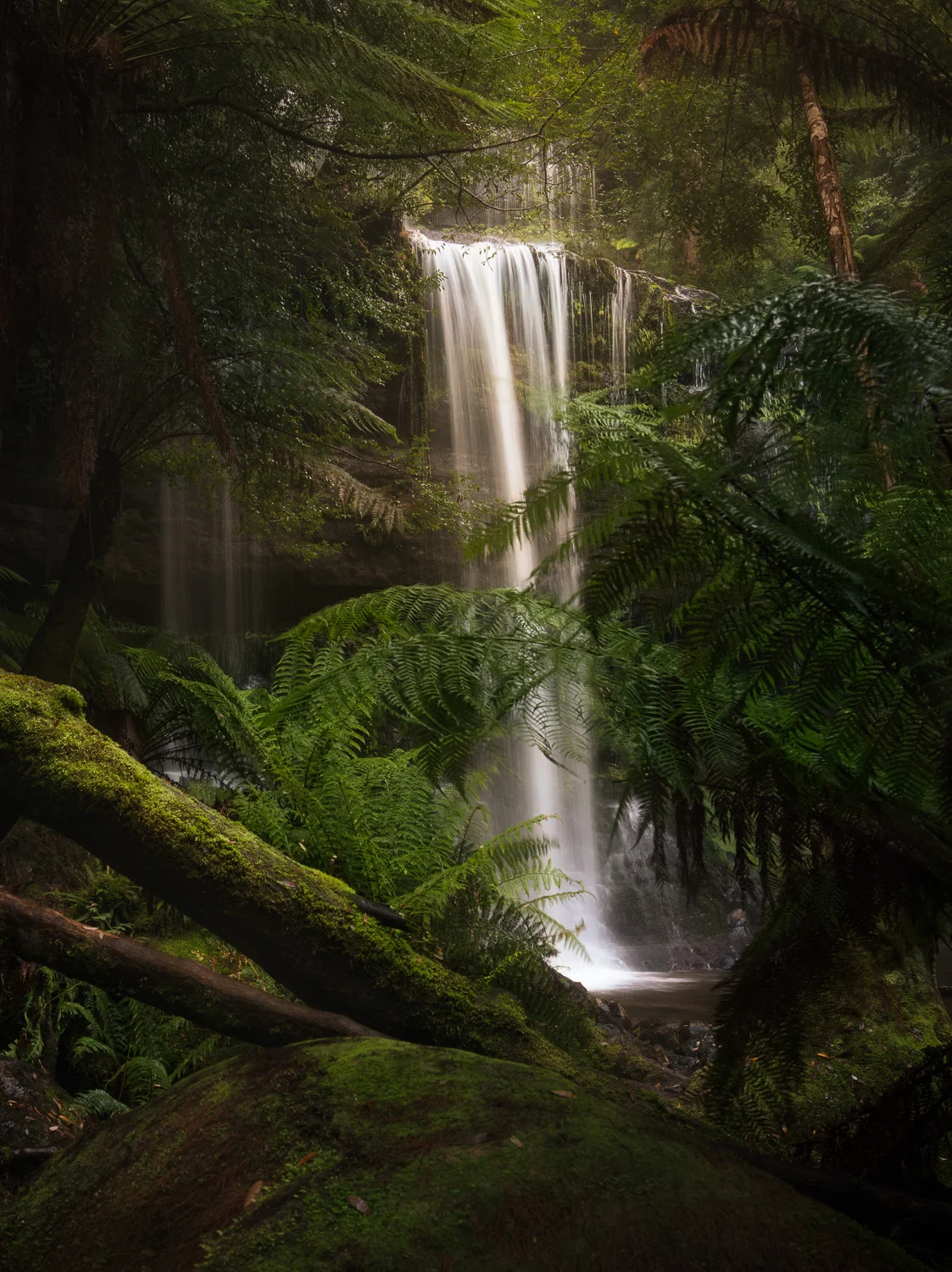 “Russell Falls” Russell Falls, Tasmania Australia
