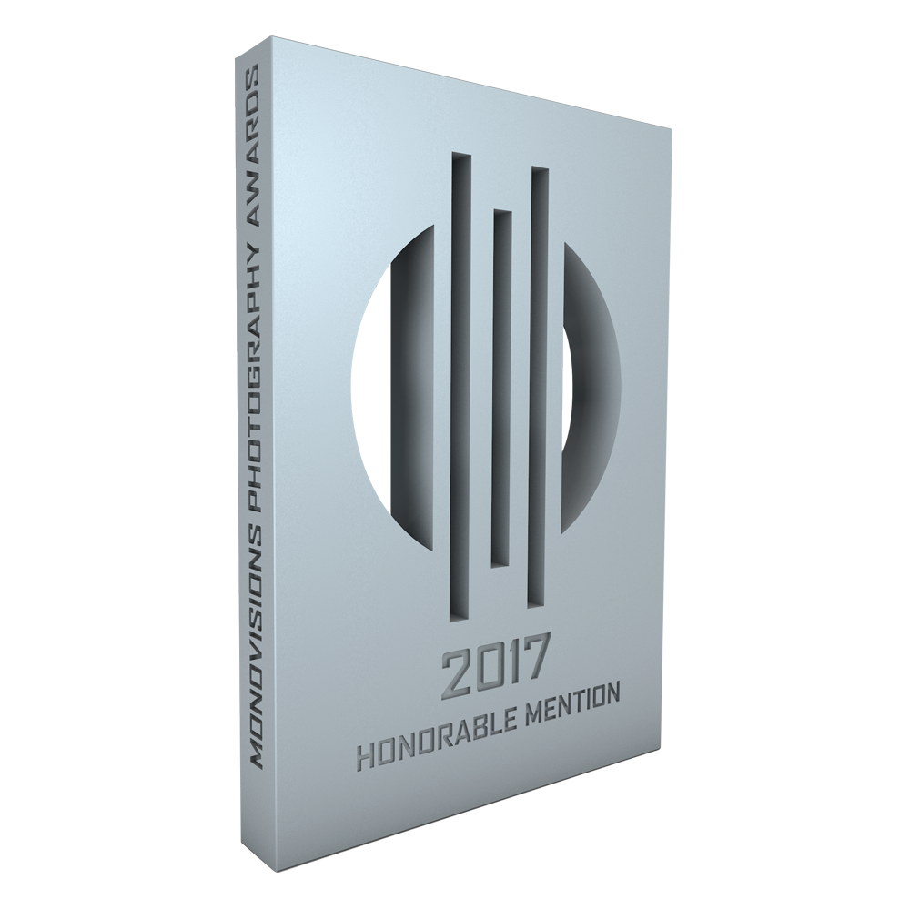 monovisions_awards_2017_hm.png