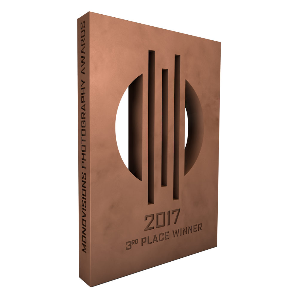 monovisions_awards_2017_3rd_place.png