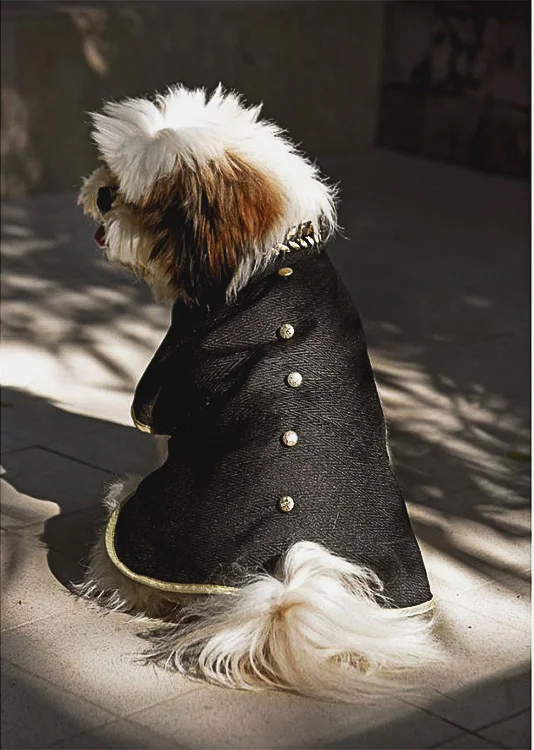 Heads Up for Tails offer festive collection for pets.