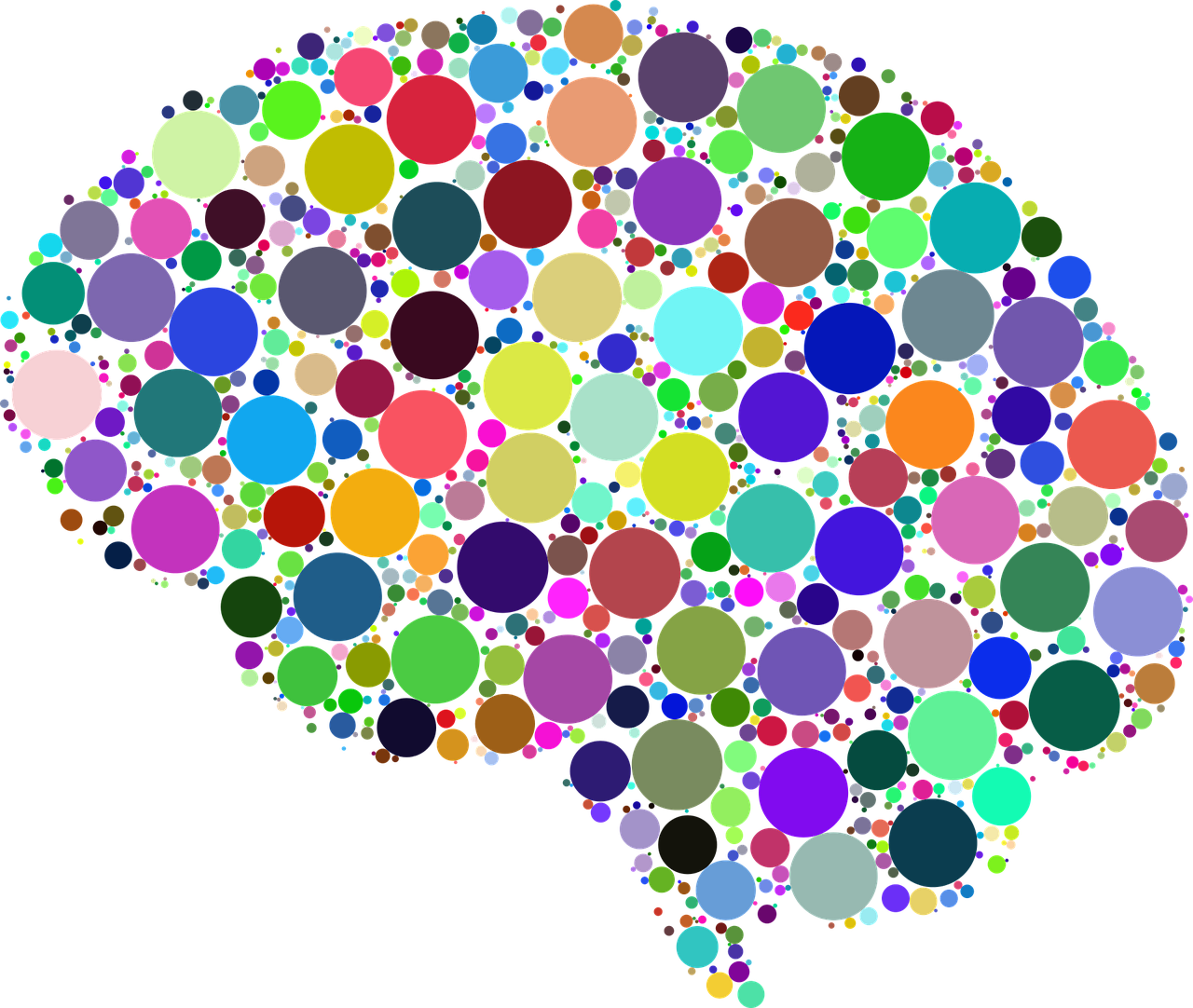 The connection between our brain and anxiety.