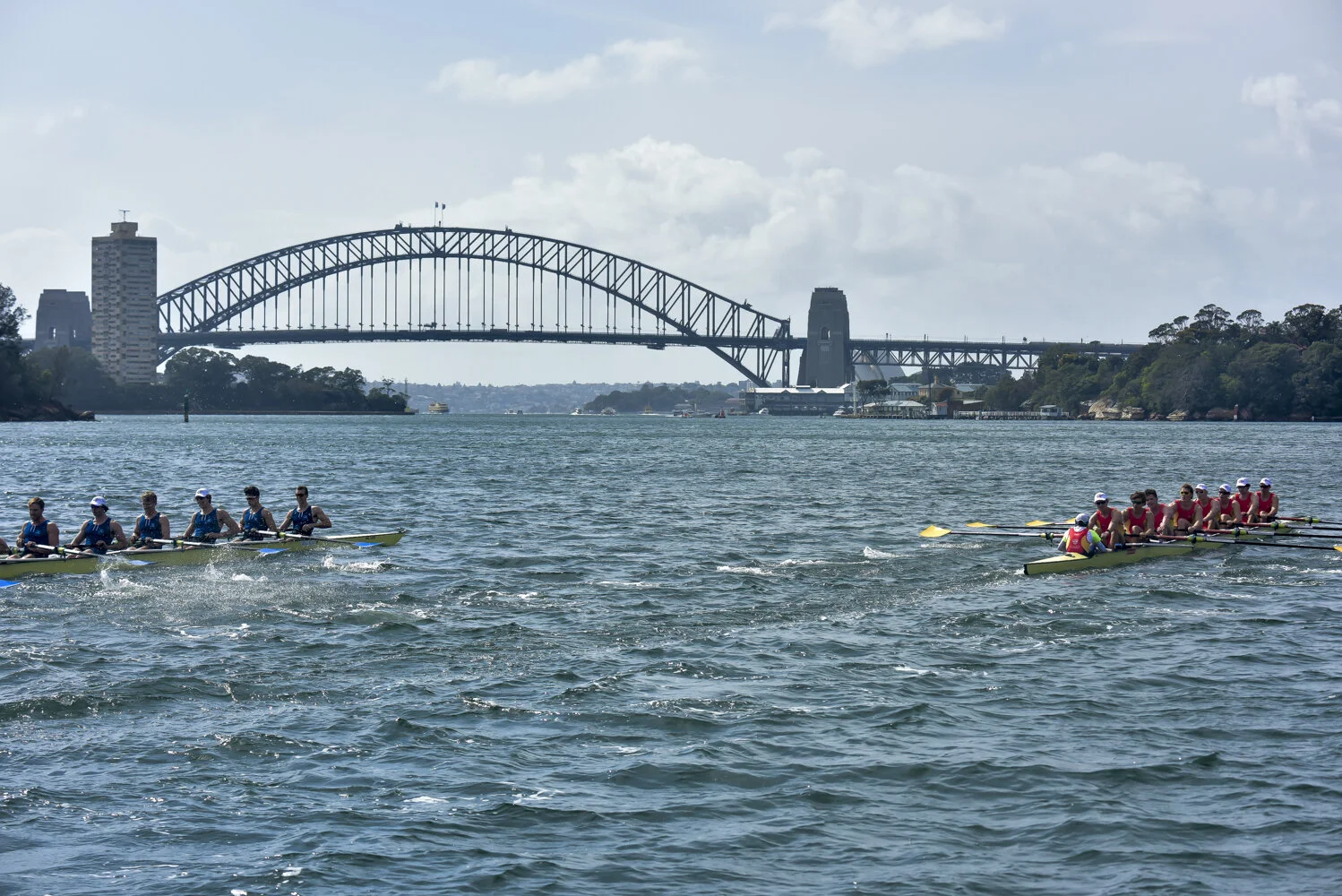 2020 Australian Boat Race Cancelled