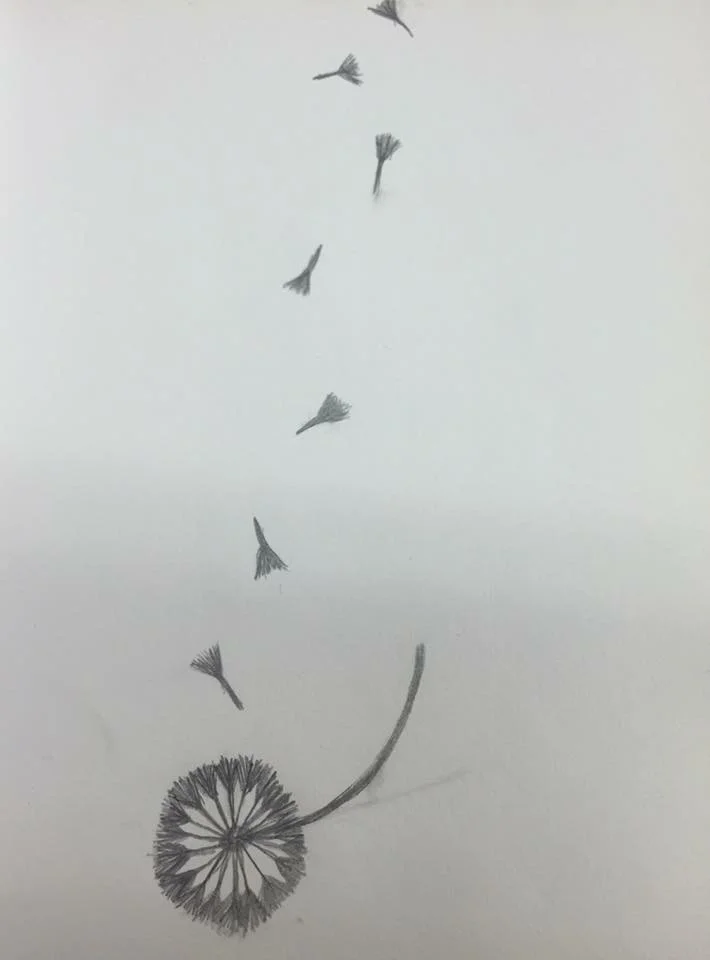 Dandelion seeds