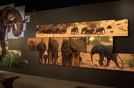 National Geographic Society Museum