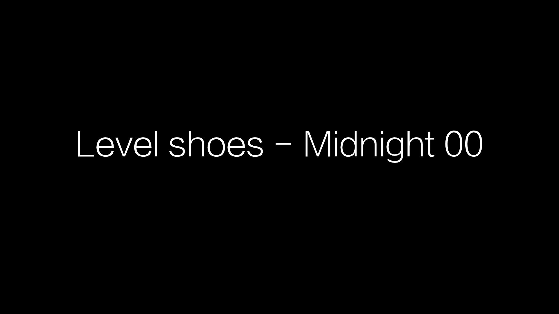 LEVEL_SHOES_V5