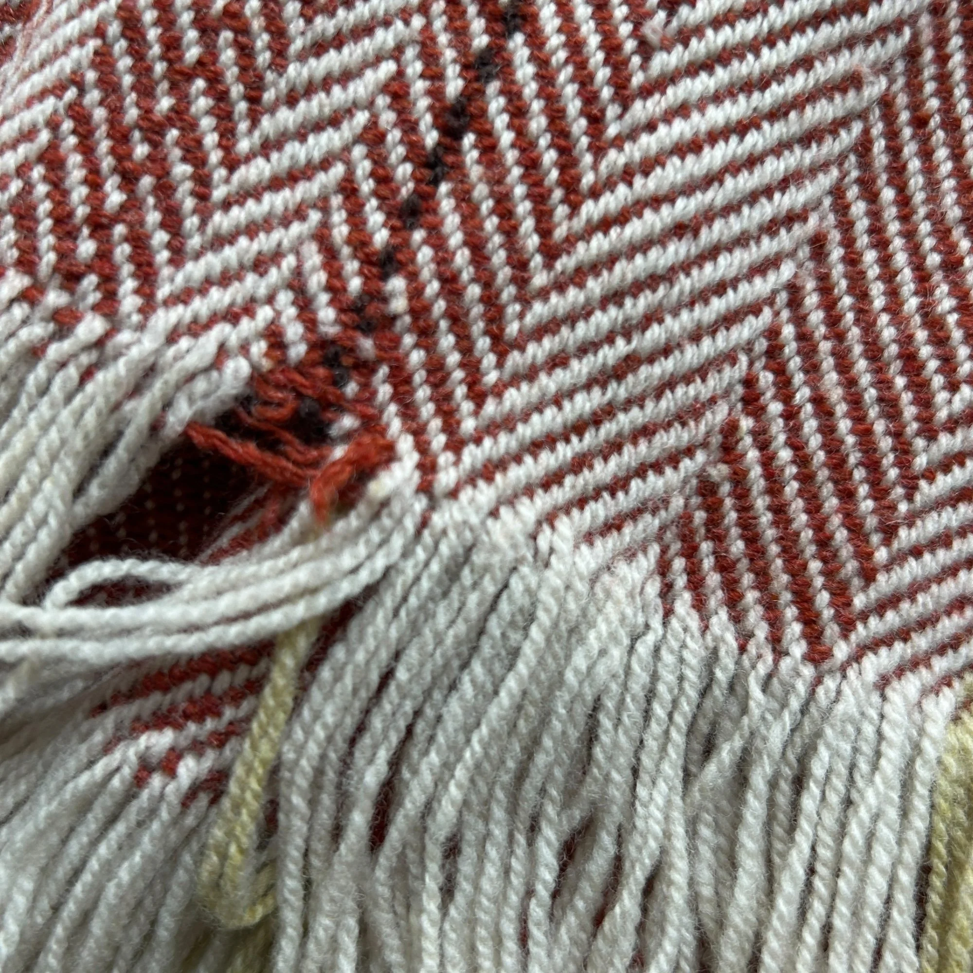 A187A942-1347-48C1-AF31-7AE241E4748D.jpeg