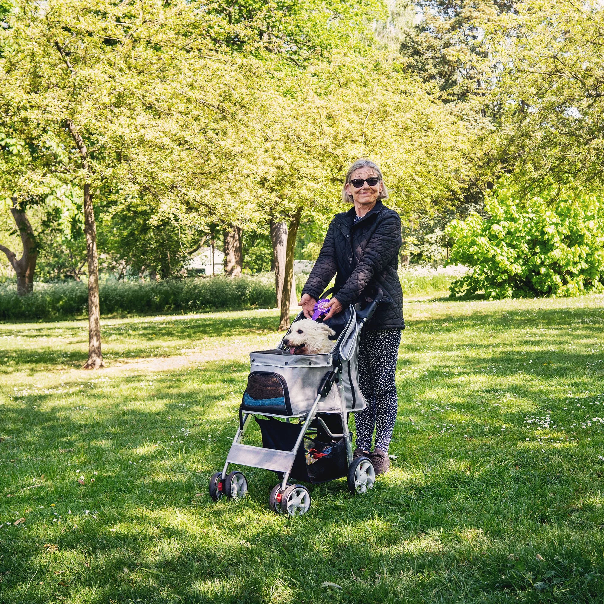 DogShow_NJD04780_R1a_Square.jpg