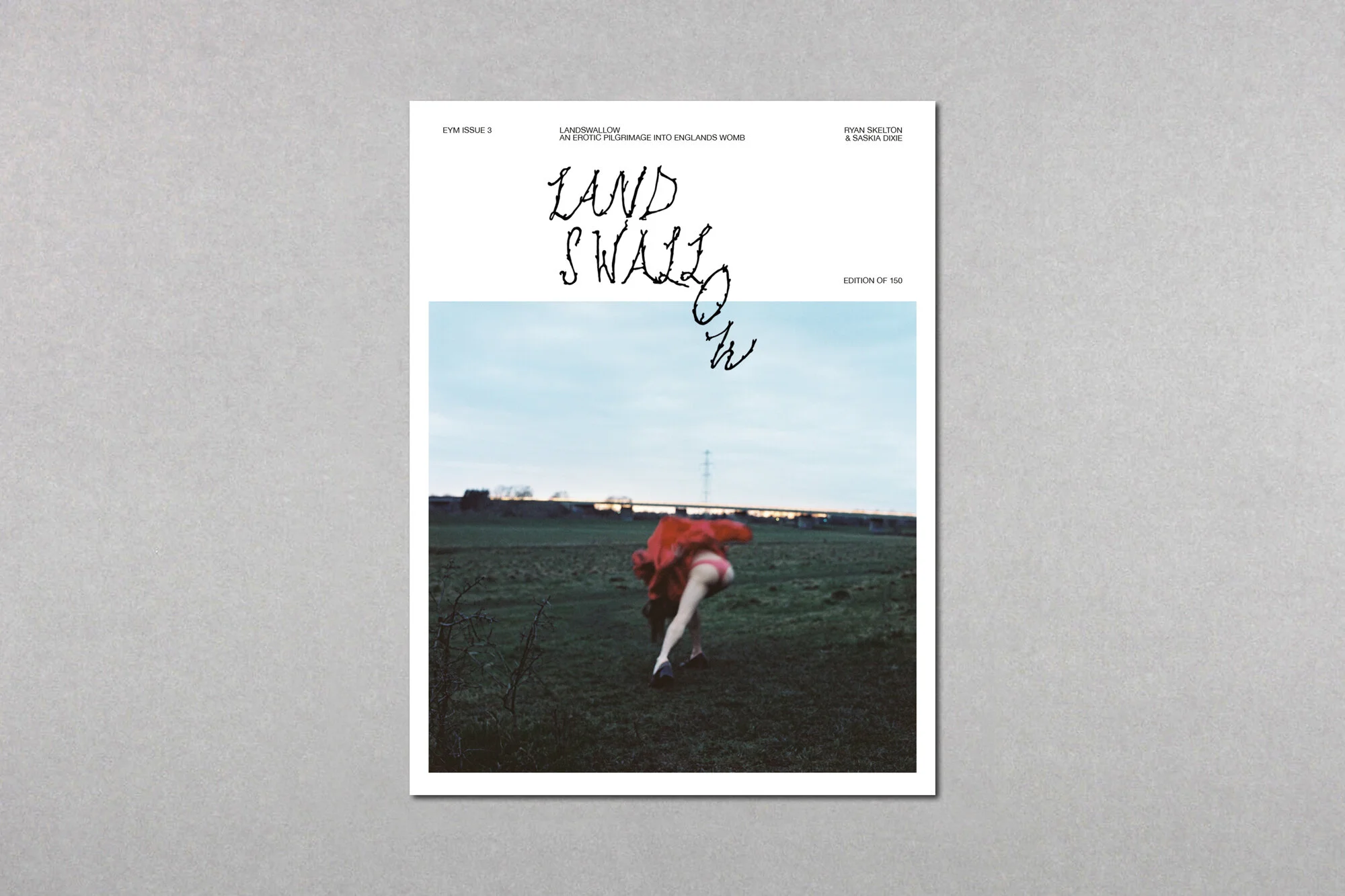 EYM3 Landswallow