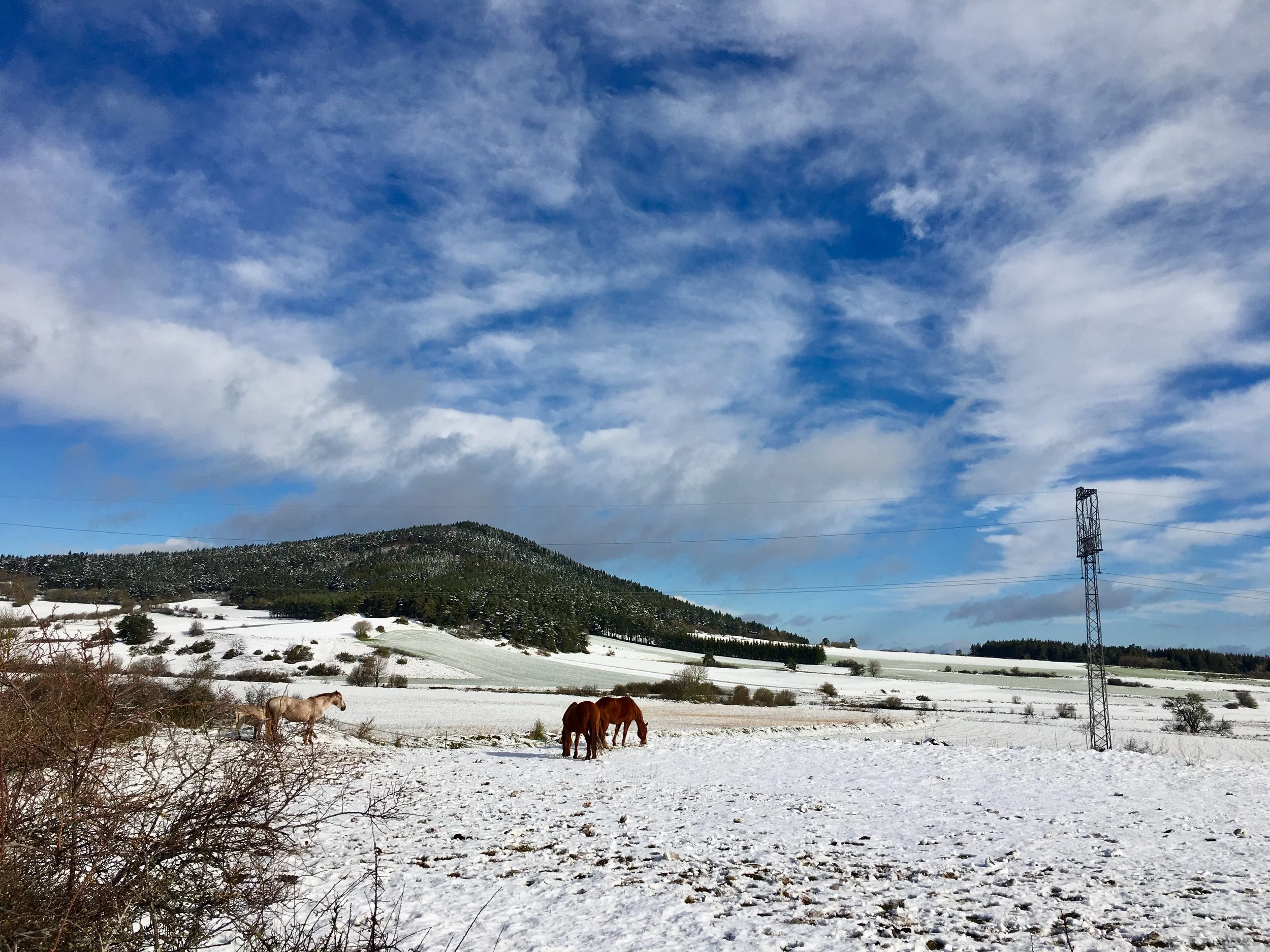Morgens, ganze plus 1grad und SchneeâŚ
