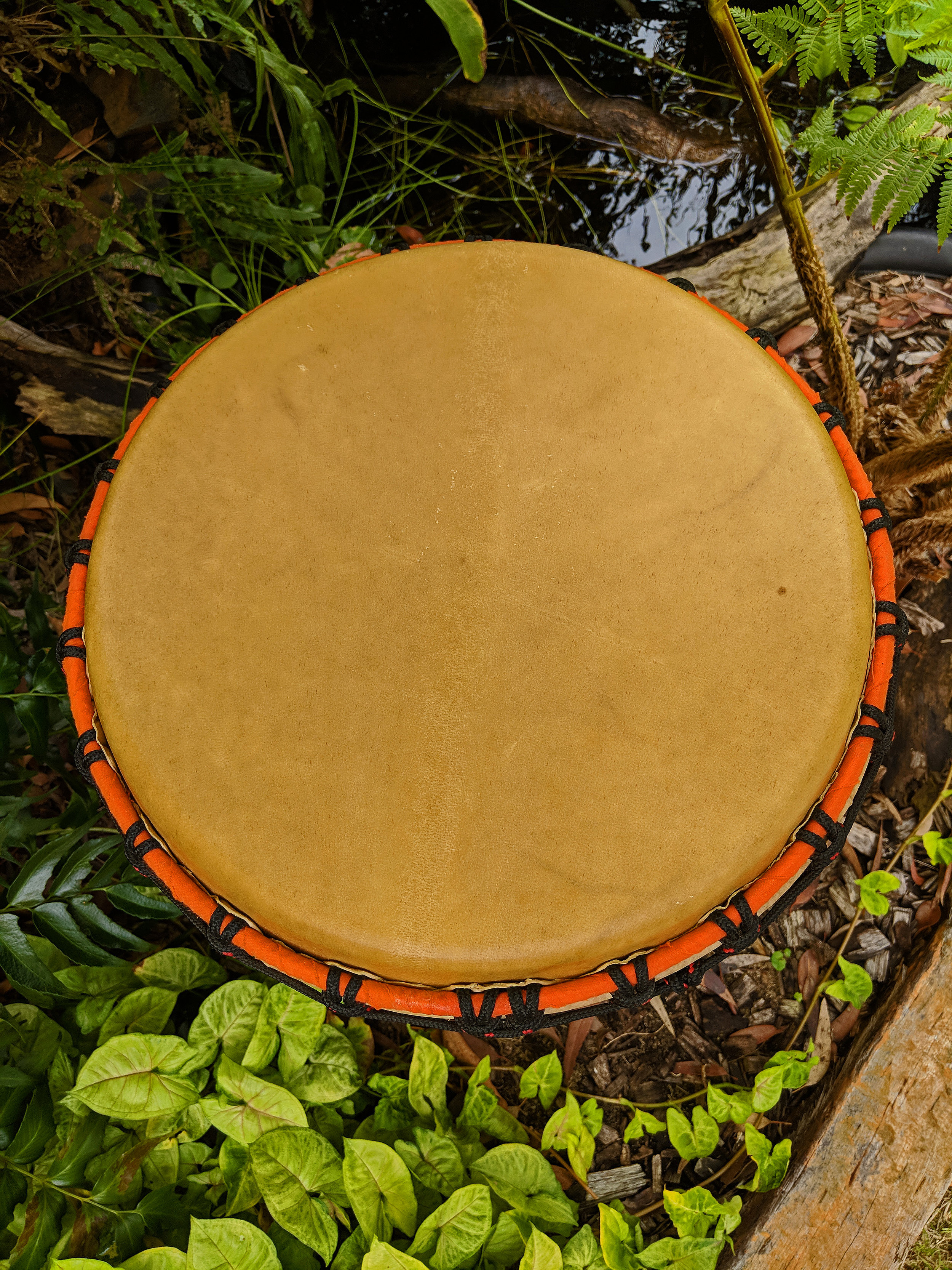 Djembe Drum with smooth Hyde View - Kelly Roberts Splice of Life