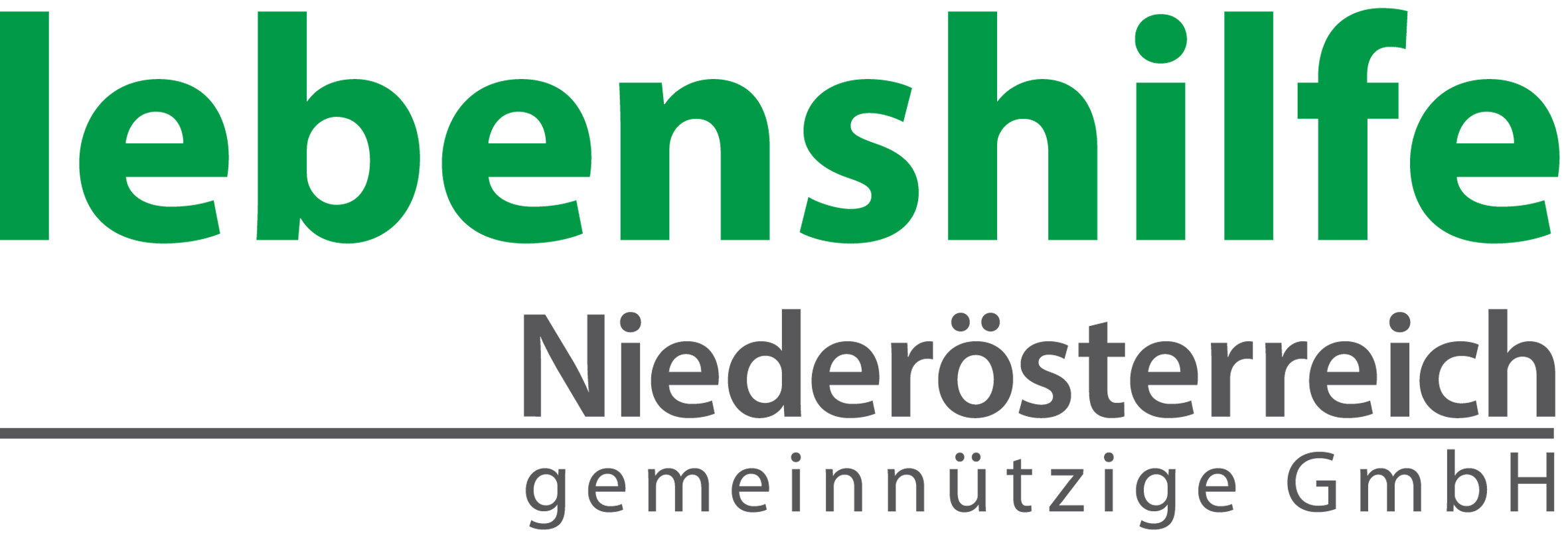 Logo gmbh.jpg