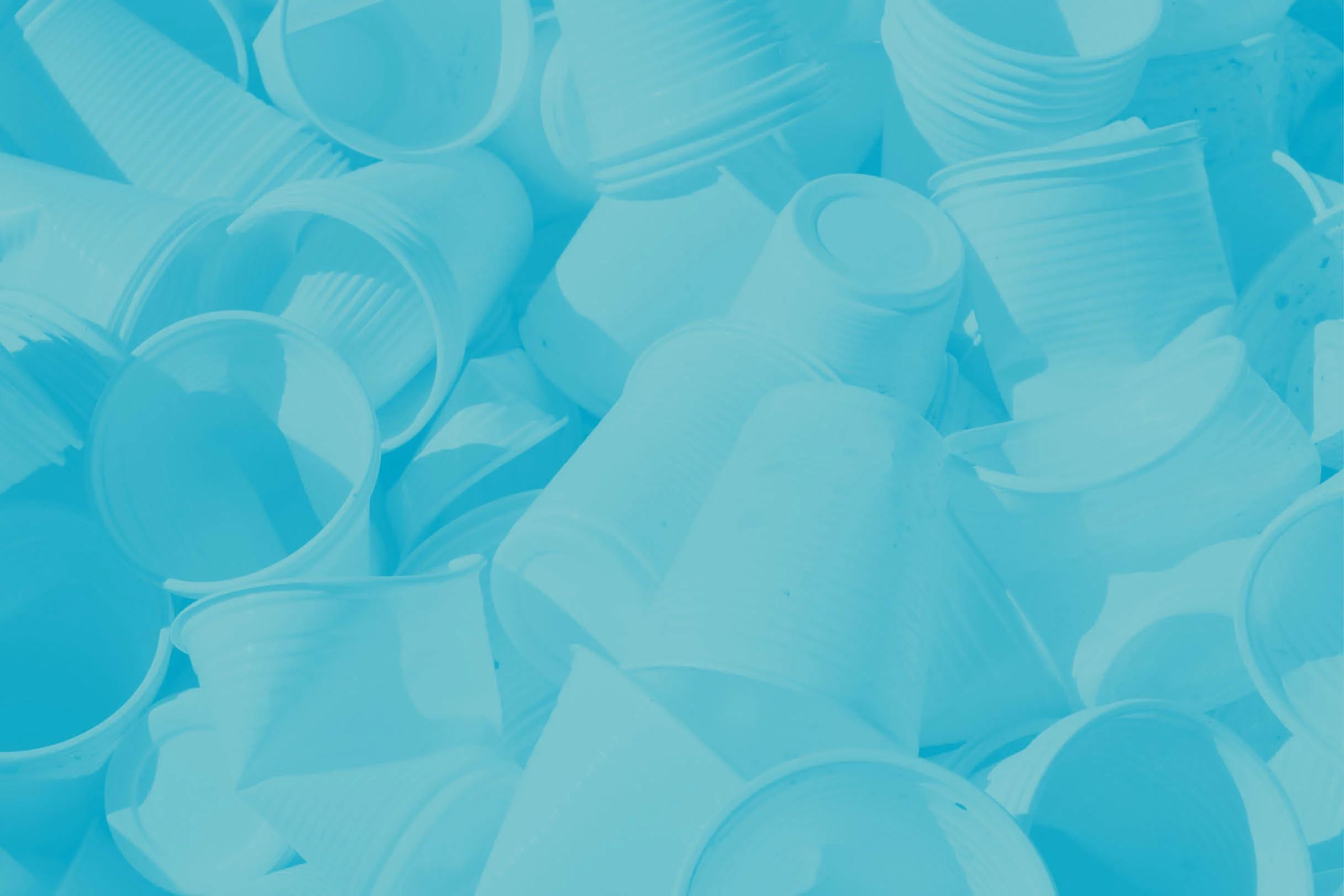 image members - cups.jpg