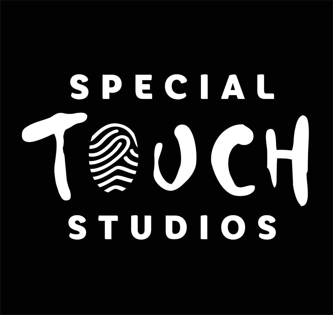 logo special touch bis.jpg