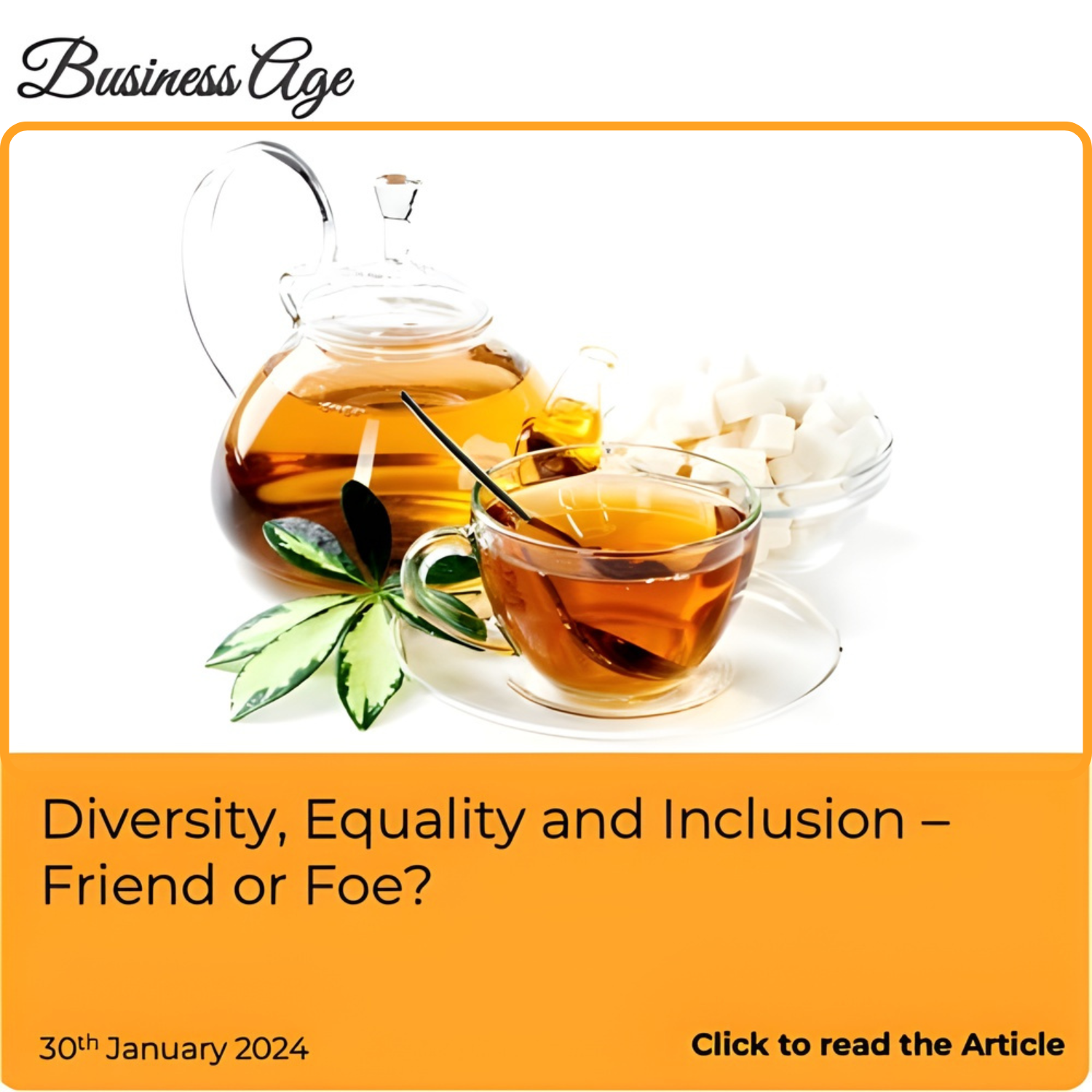 2024-01-30 - Diversity, Equality and Inclusion - Friend or Foe?