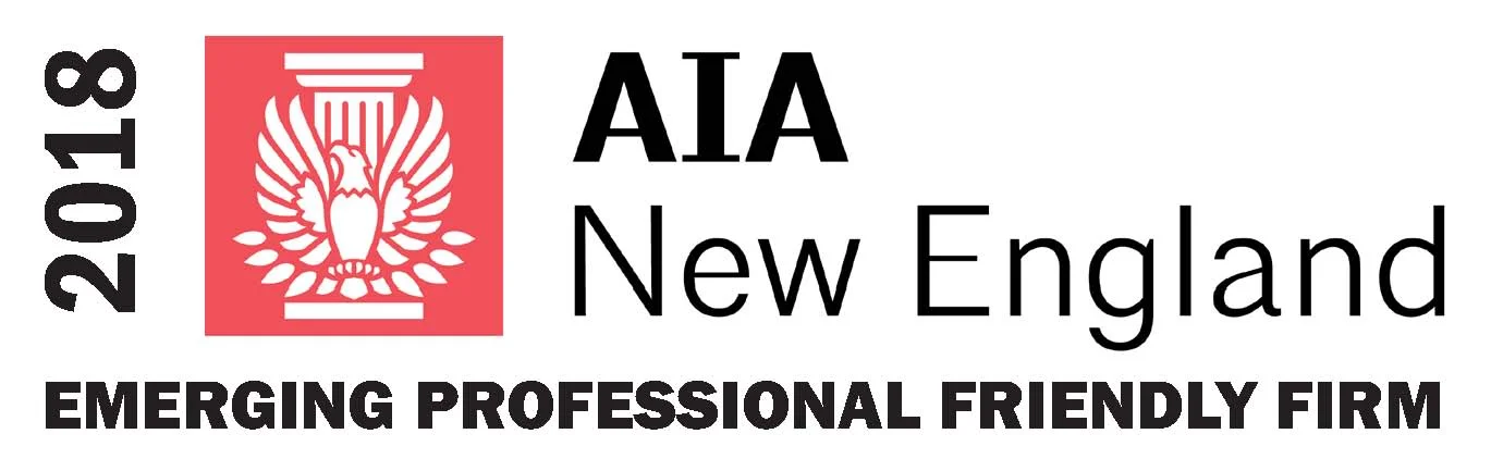 2018 Emerging Professional Friendly Firm logo.jpg