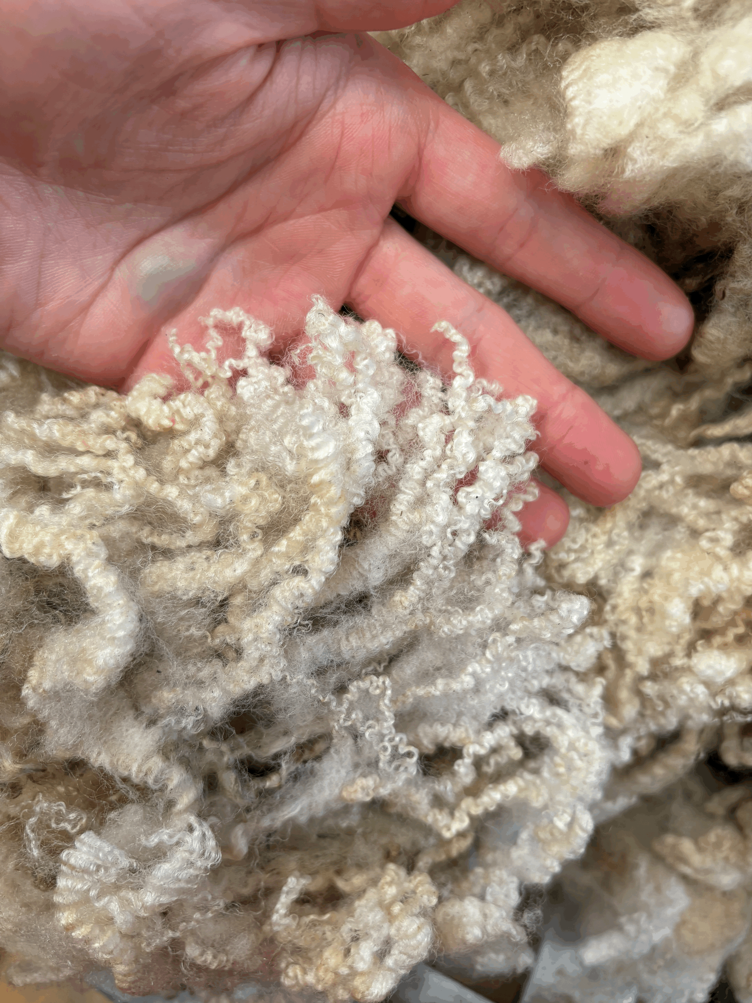 tempImagenc4xdW.gif