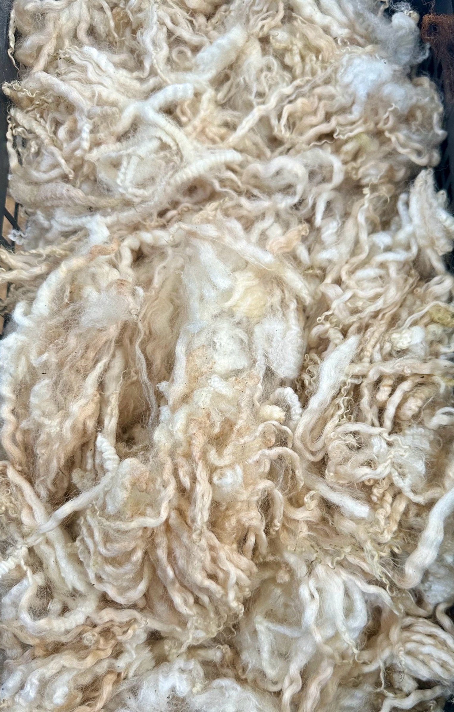 CBD57C6E-3B90-47CC-A458-EDA9108E9F3D.jpg