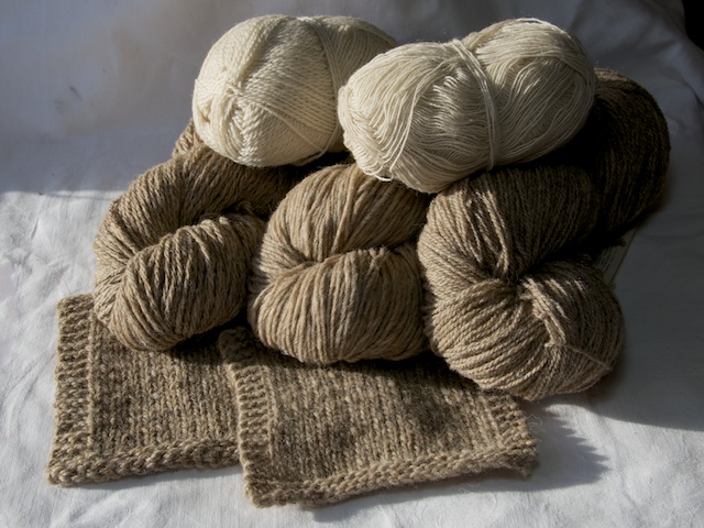 Fernhill Fleece and Fibre Naturally Coloured Wool Yarn.jpg