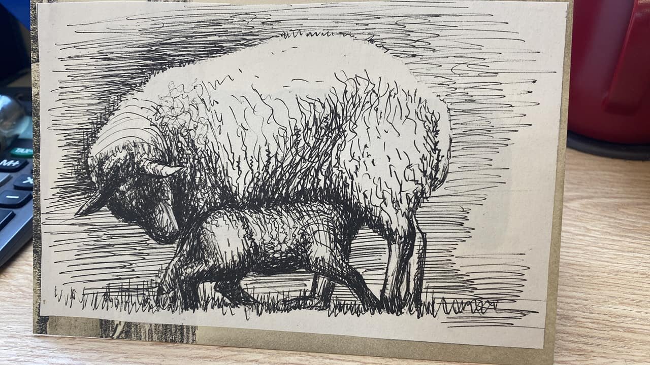 Lovely card arrived on our desk today, helps to know we are appreciated by others who love sheep and wool too 

#woolschool @ Fernhill Fleece &amp; Fibre

Real thanks must go to Christine Rice, Lesley Hill and Lallie and all the others here as it is 