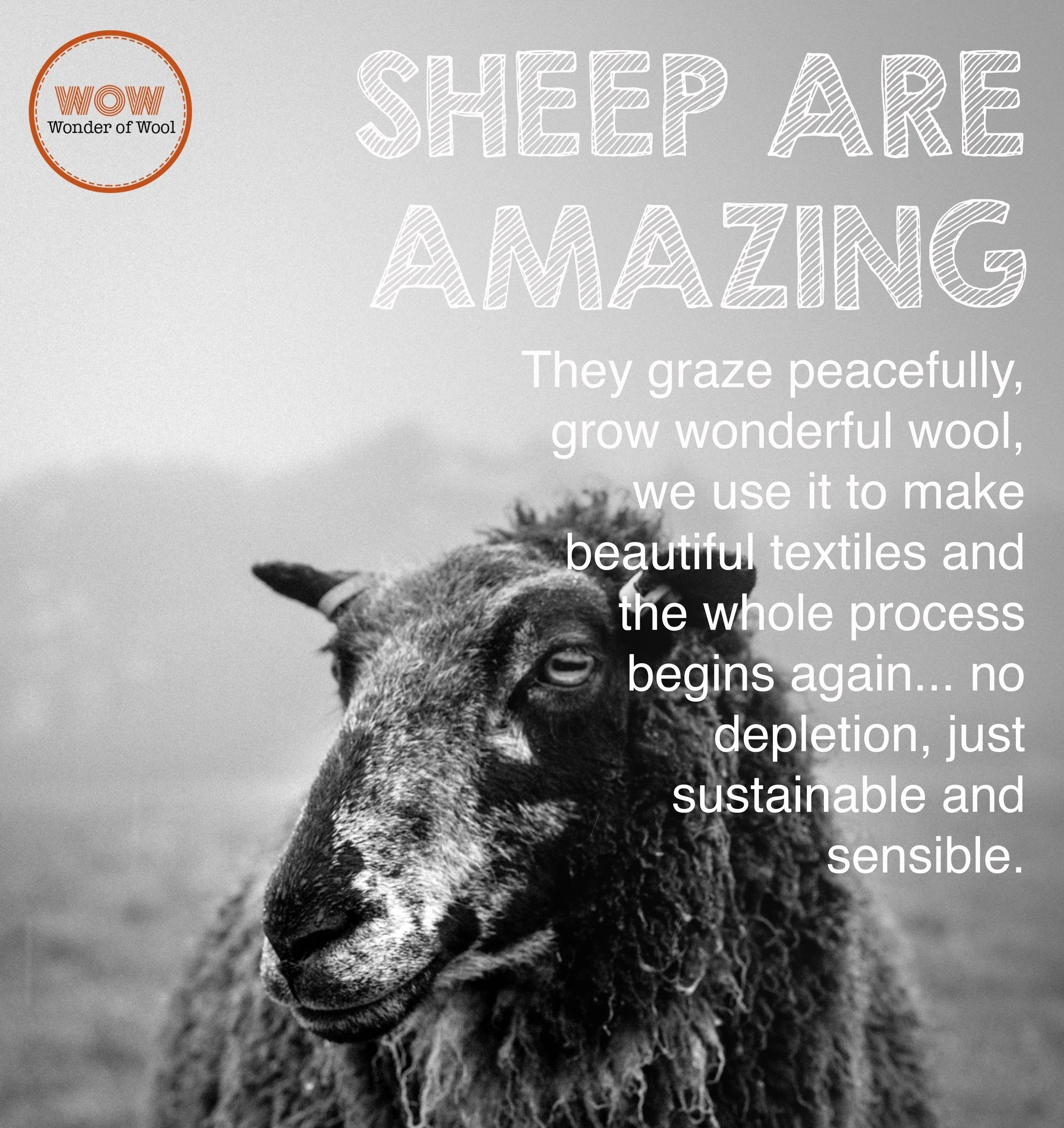 BLACK FRIDAY FLEECE SALE