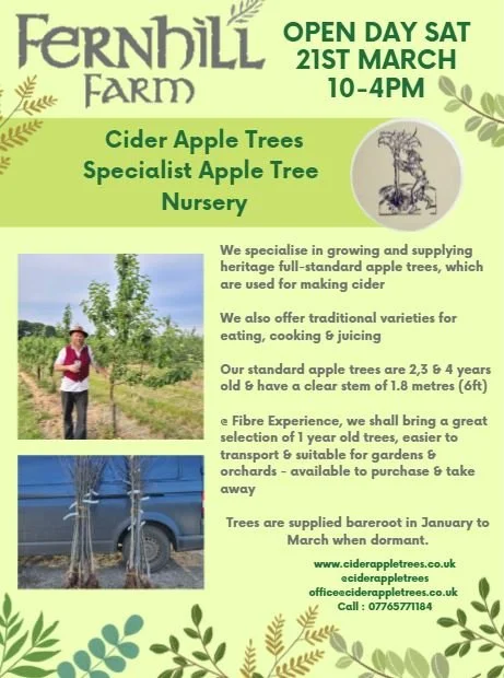 Cider Apple Trees.JPG