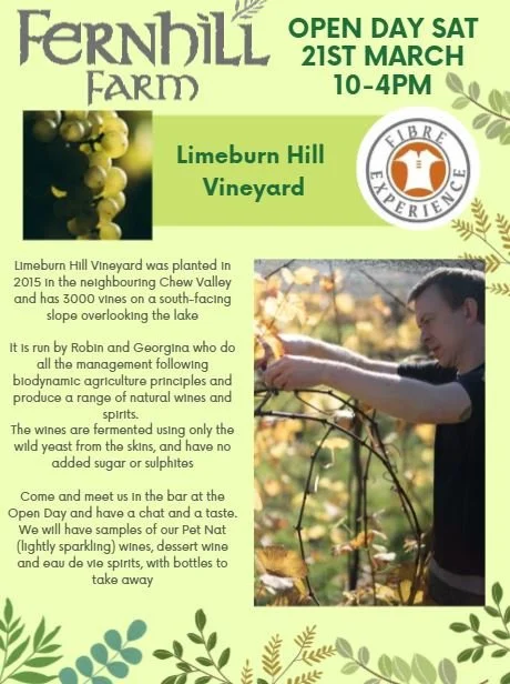 Limeburn Hill Vineyard.JPG