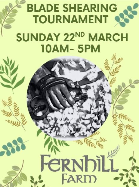 Blade Tournament.JPG