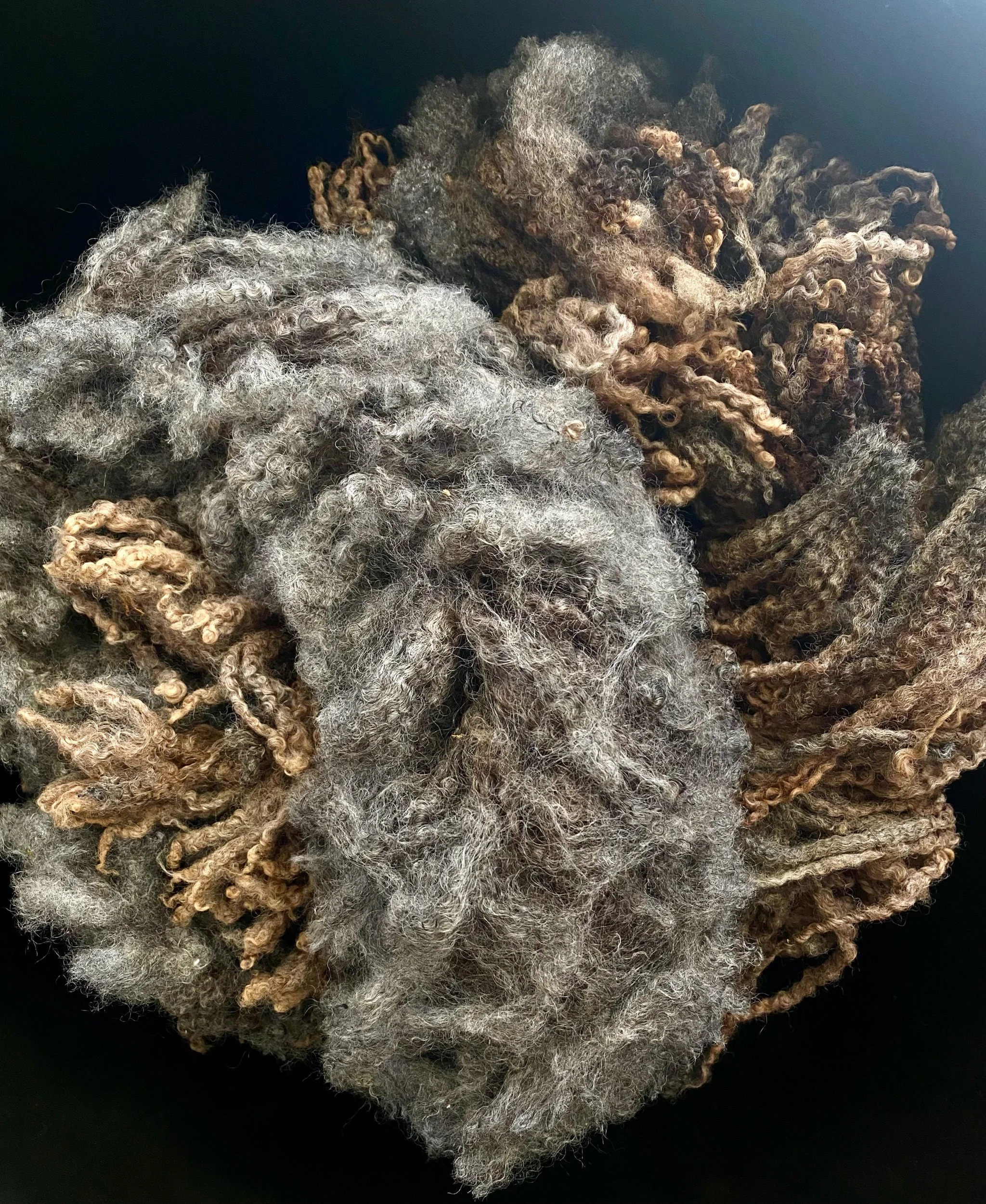 Lustre flock Dark Grey and Mixed Brown Raw Fleece