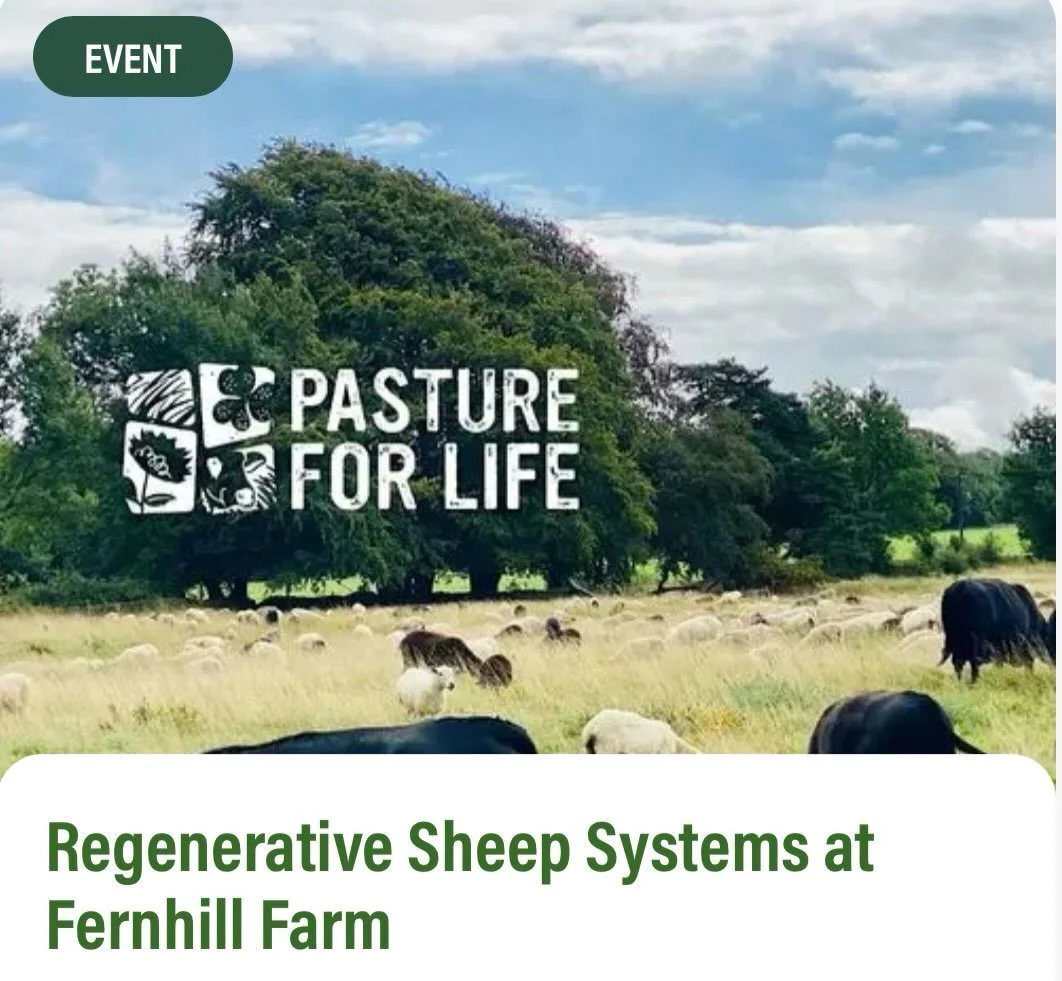 Event invitation:
Tuesday 8th September from 10am - 2pm, including a homegrown Shepherds Pie Lunch of hoggett, spuds &amp; greens all from the farm
.
Regenerative Sheep Systems at Fernhill Farm: 

Andy and Jen farm "regeneratively" across t