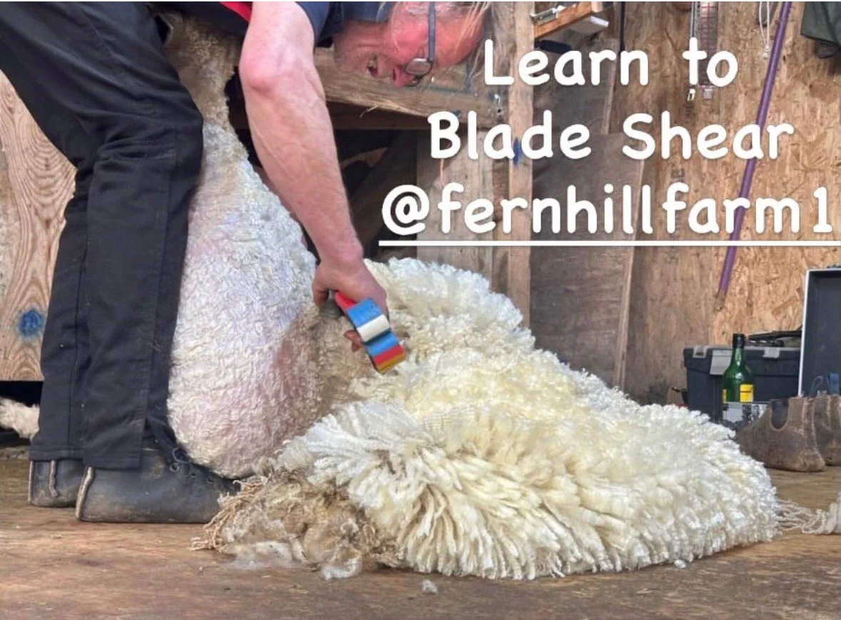Autumn Equinox again and the seasons are changing, must mean sheep need blade shearing ... and we have a big week coming up again

Monday &amp; Tuesday is the last @britishwool Blade Shearing Course @fernhillfarm1 - two days dedicated to learning the