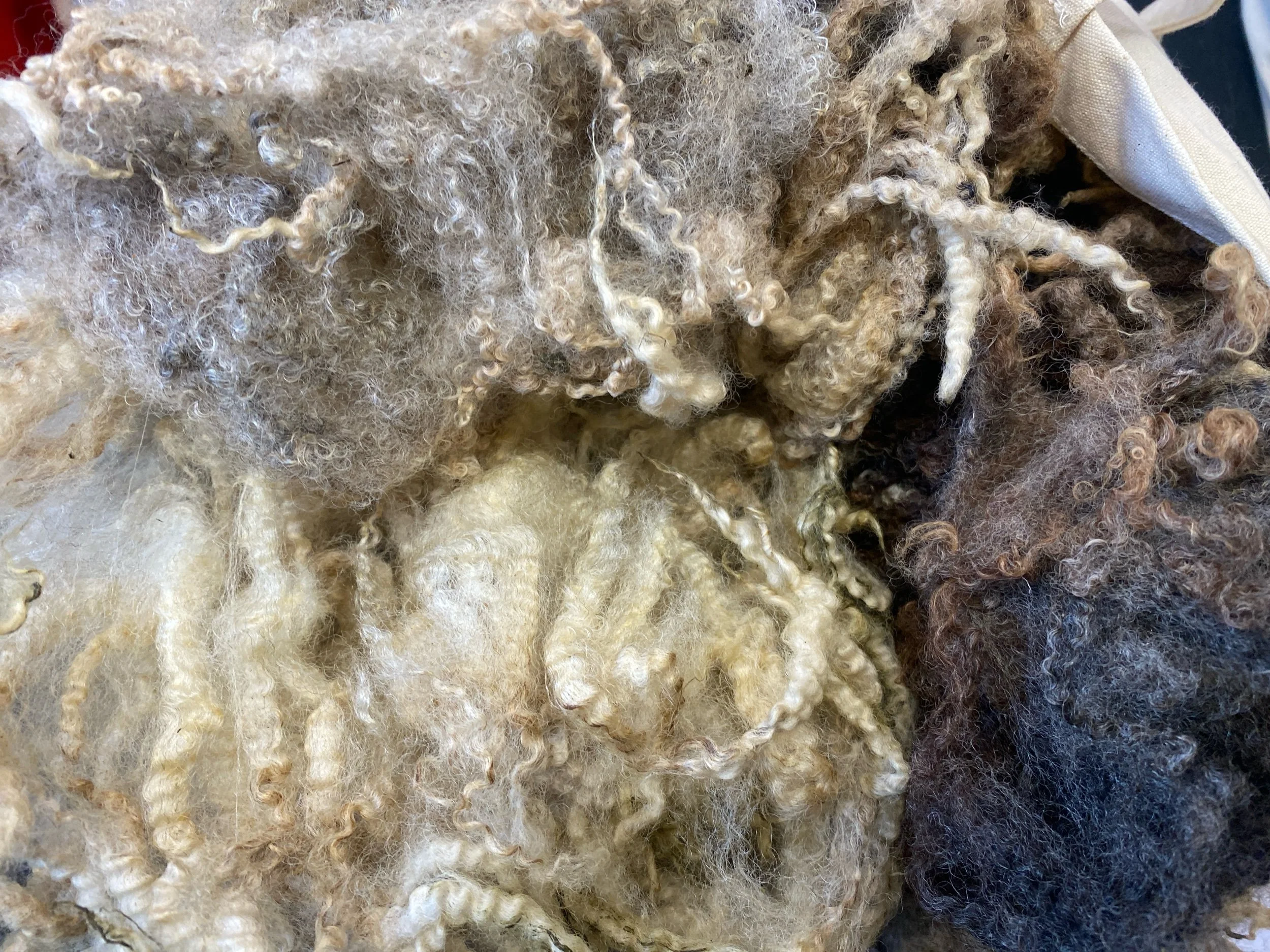 Ultra Long Silver Grey Lustre Shearling Fleece