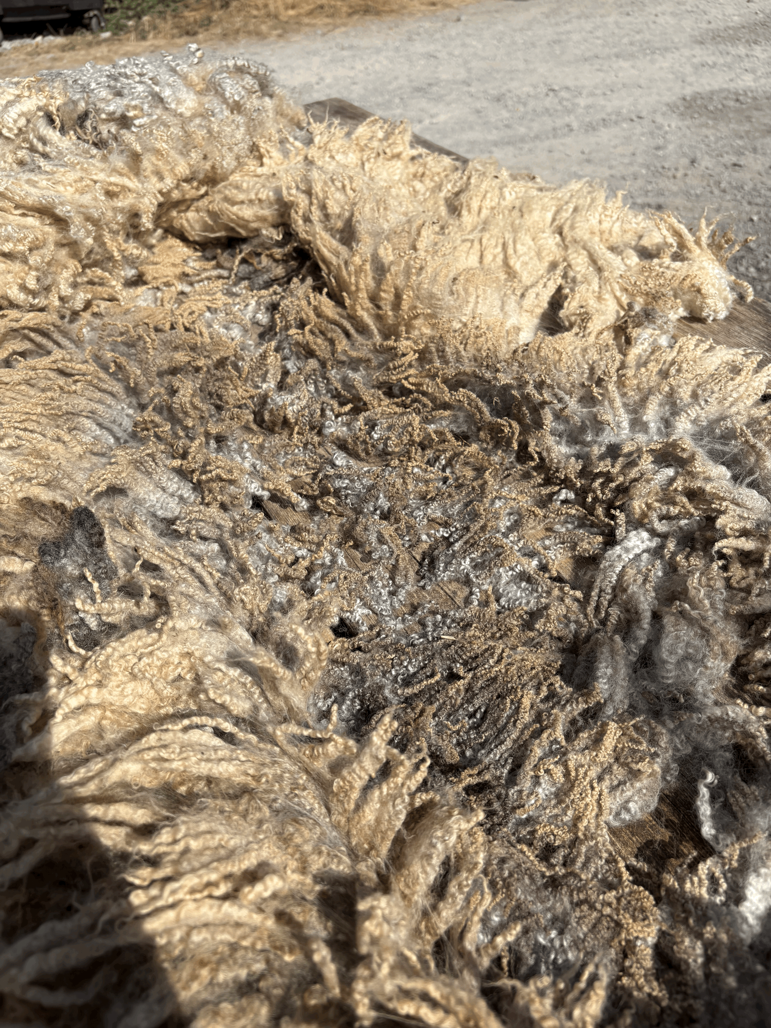 Amazing Mixed Grey Lustre Raw Fleece
