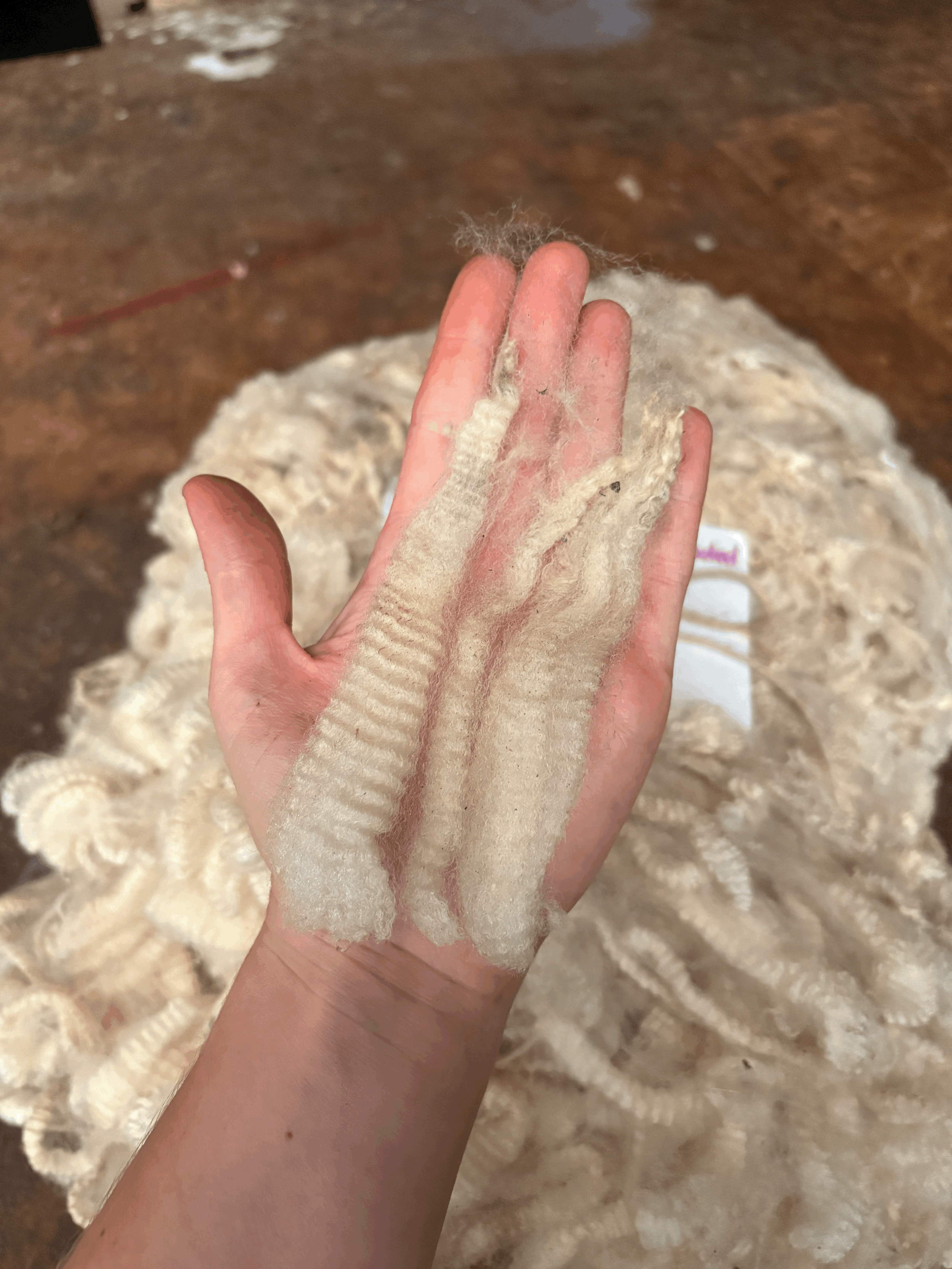 tempImagecH37YV.gif