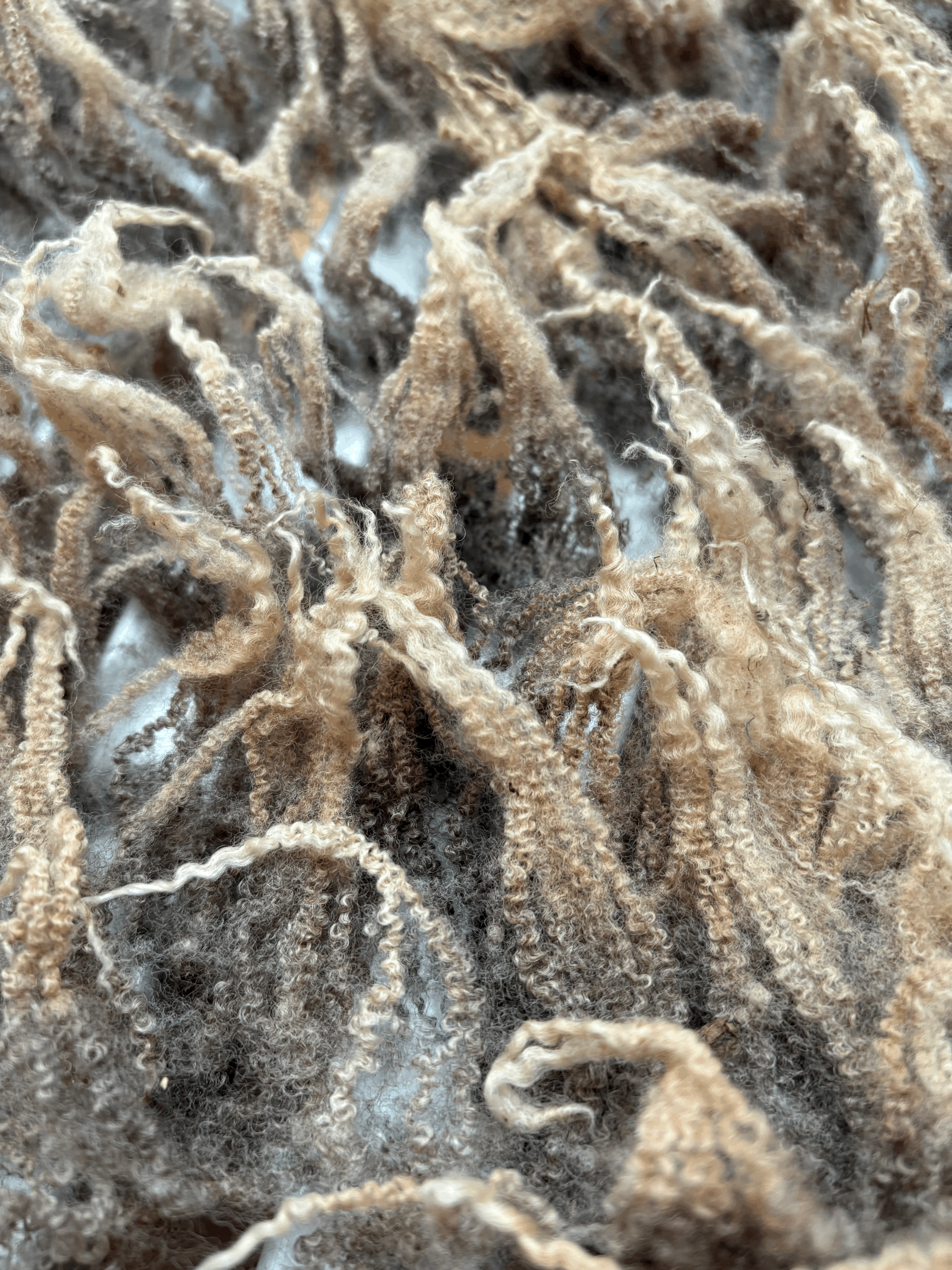 tempImageS8kvq4.gif