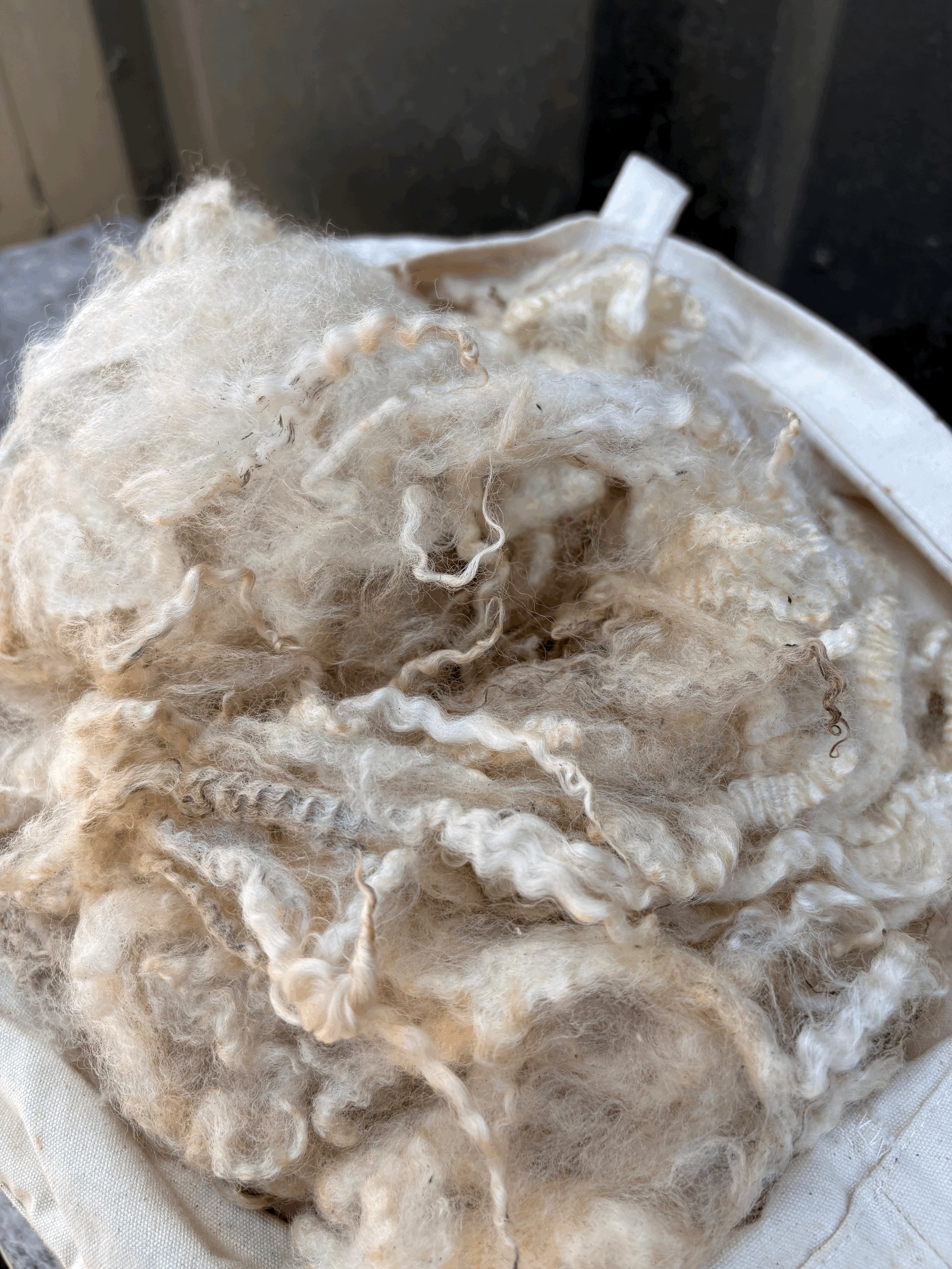 Romney / Lustre White Raw Fleece