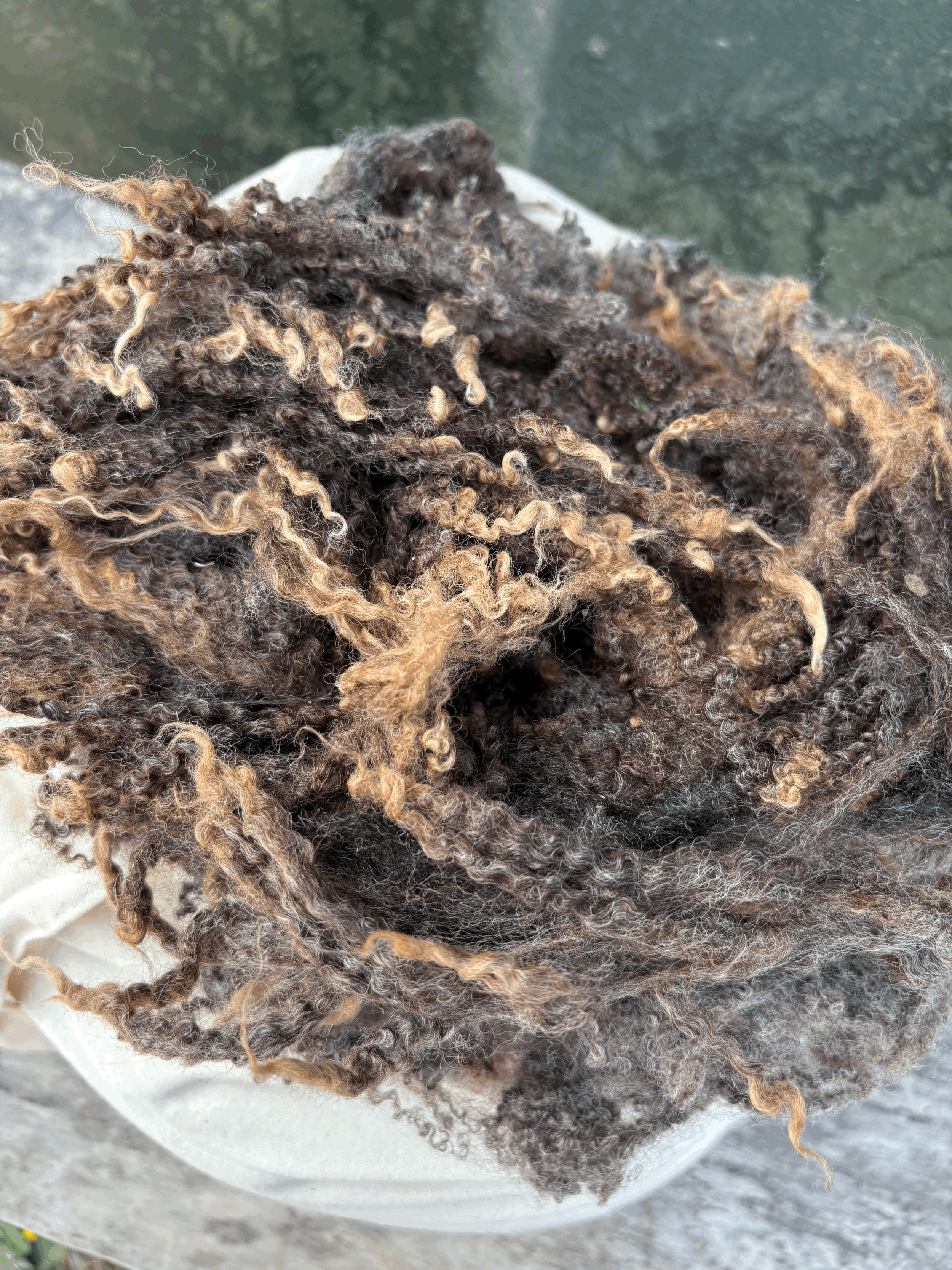 Extra Long Brown Lustre Shearling Fleece
