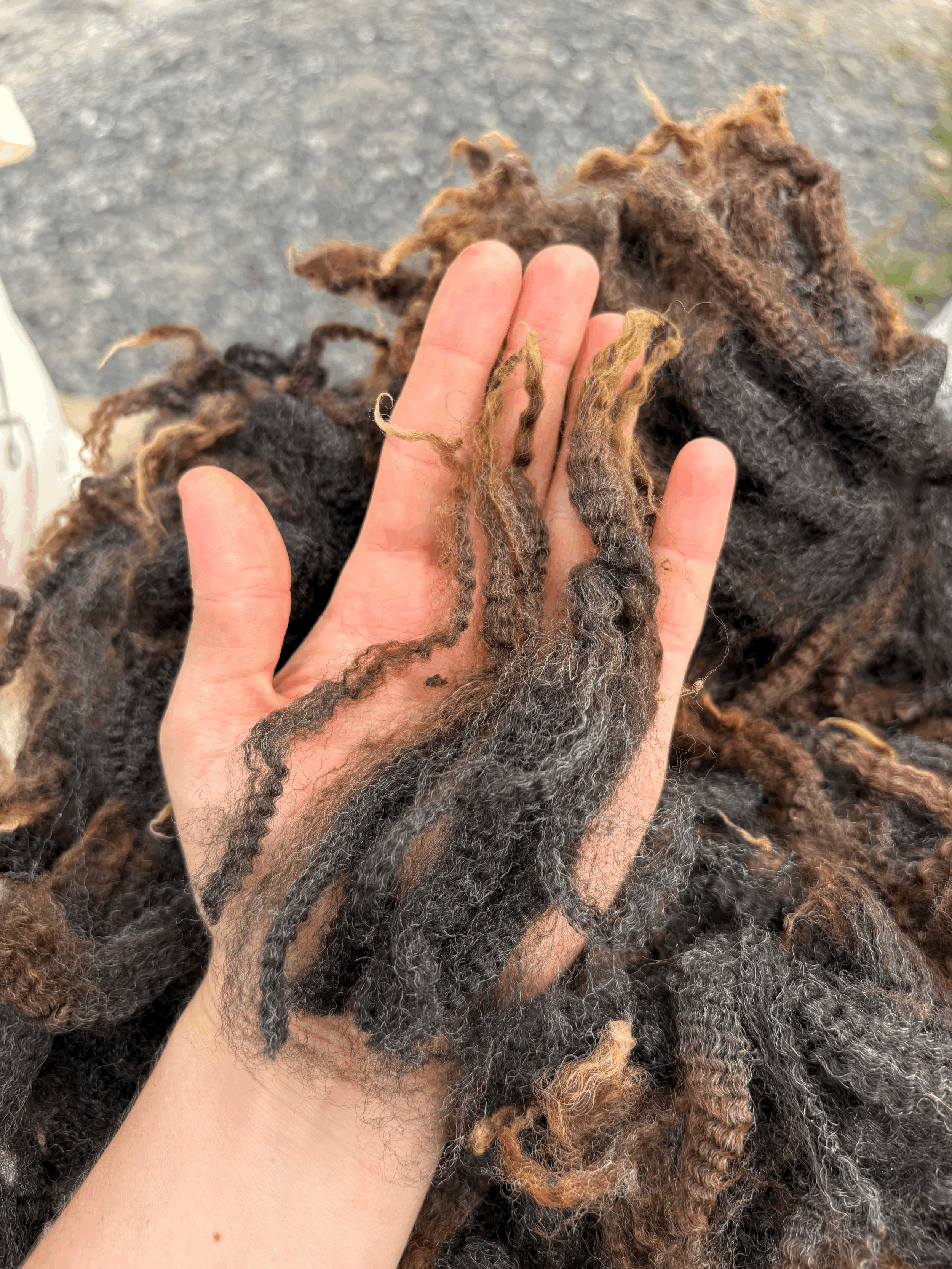 tempImageEem60B.gif
