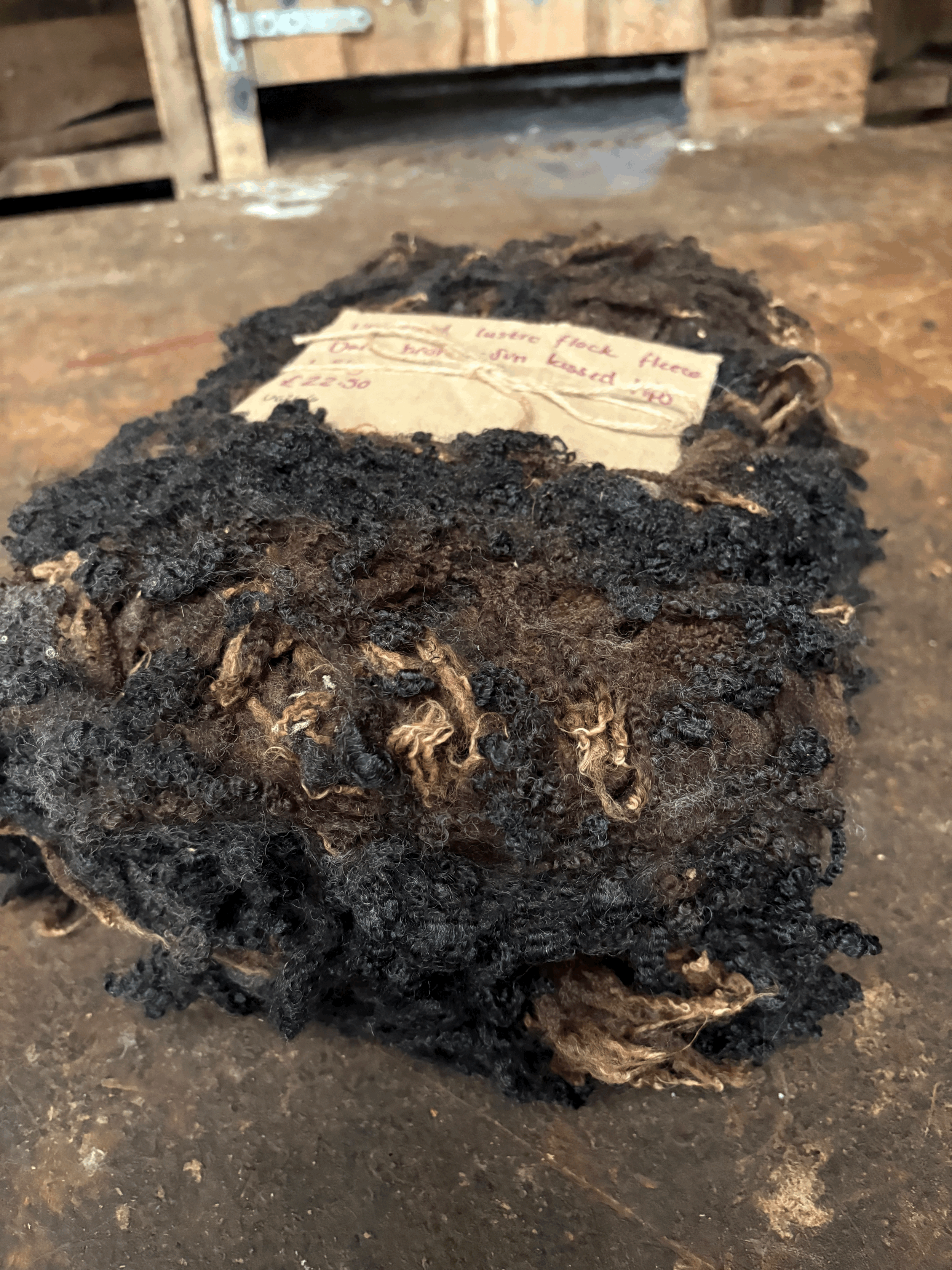 tempImageO64Iwx.gif