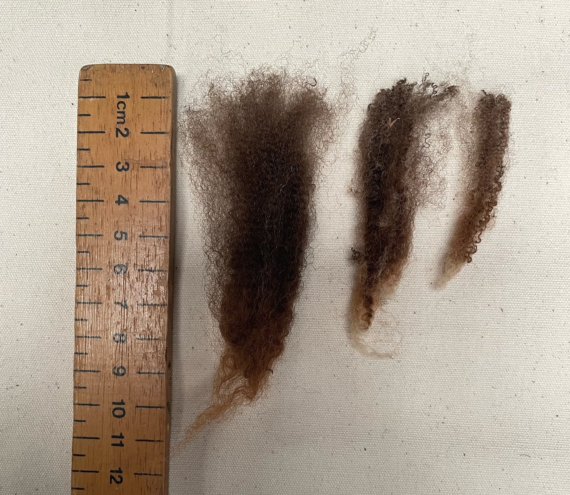 3EF5DA7A-04E0-4EA5-836A-0028C334EB03.jpg