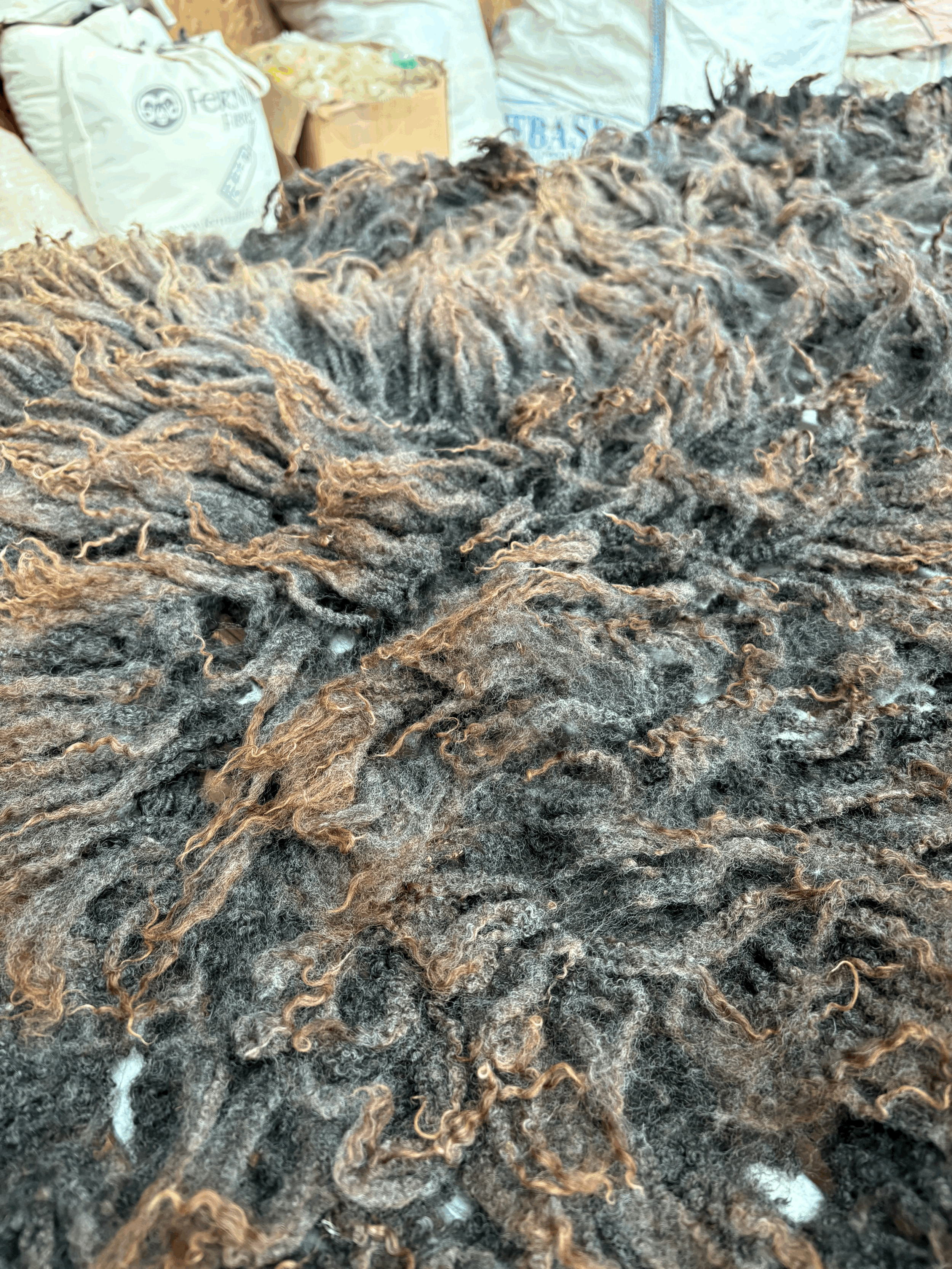 tempImageMTPgTK.gif