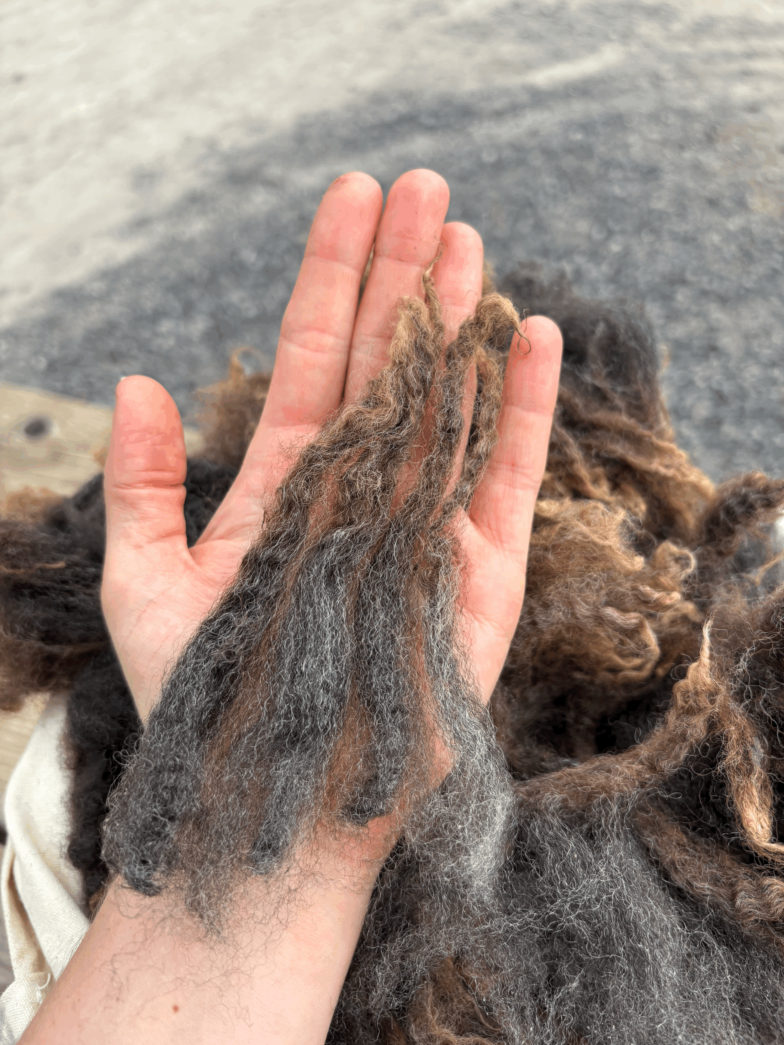tempImagepLs7nP.gif