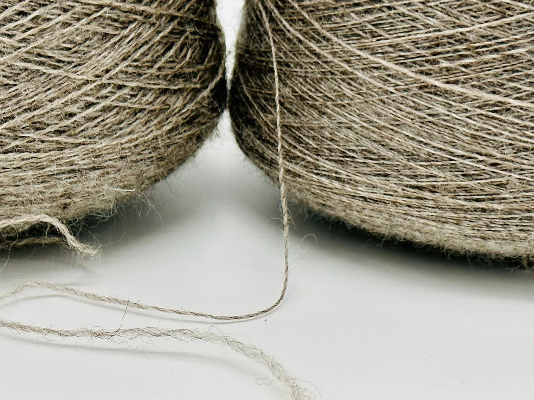 C9C165DD-844E-4A00-AB24-430A475534C5