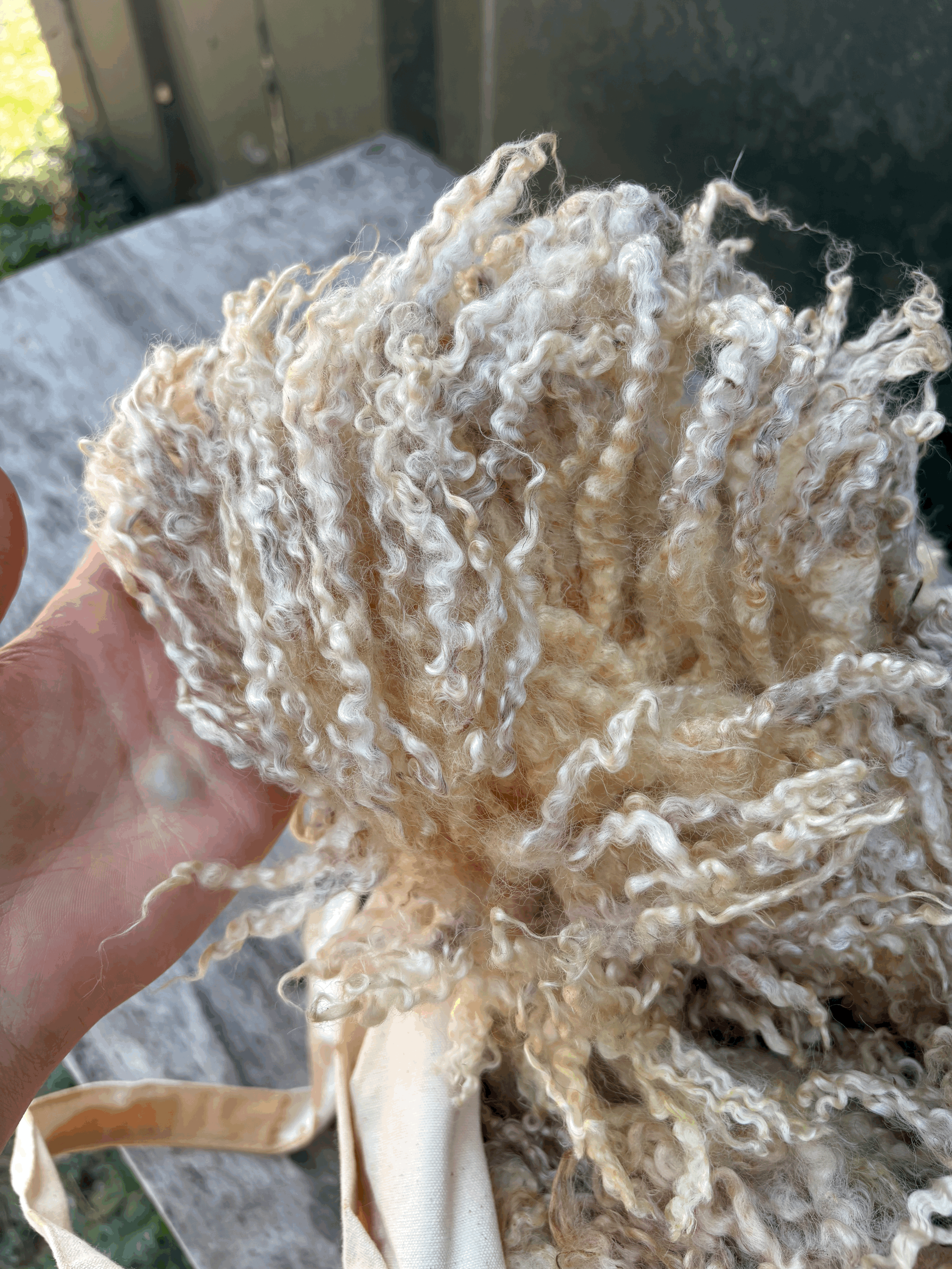 tempImageiXUGak.gif