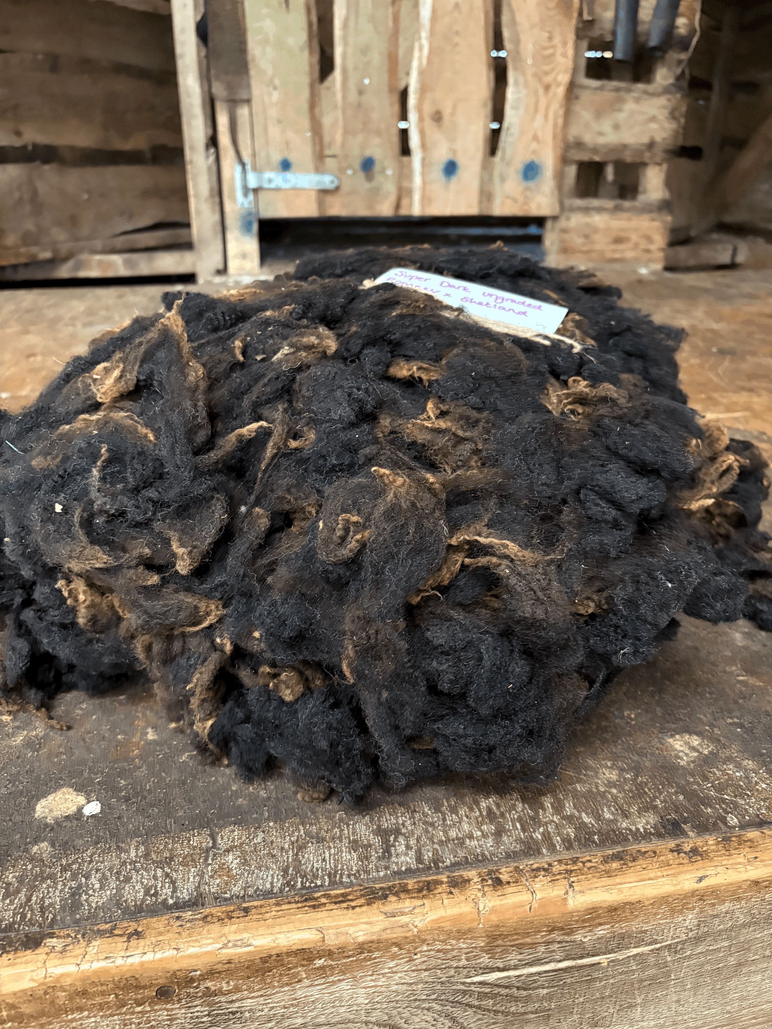 UNGRADED - Romney x Fleeces