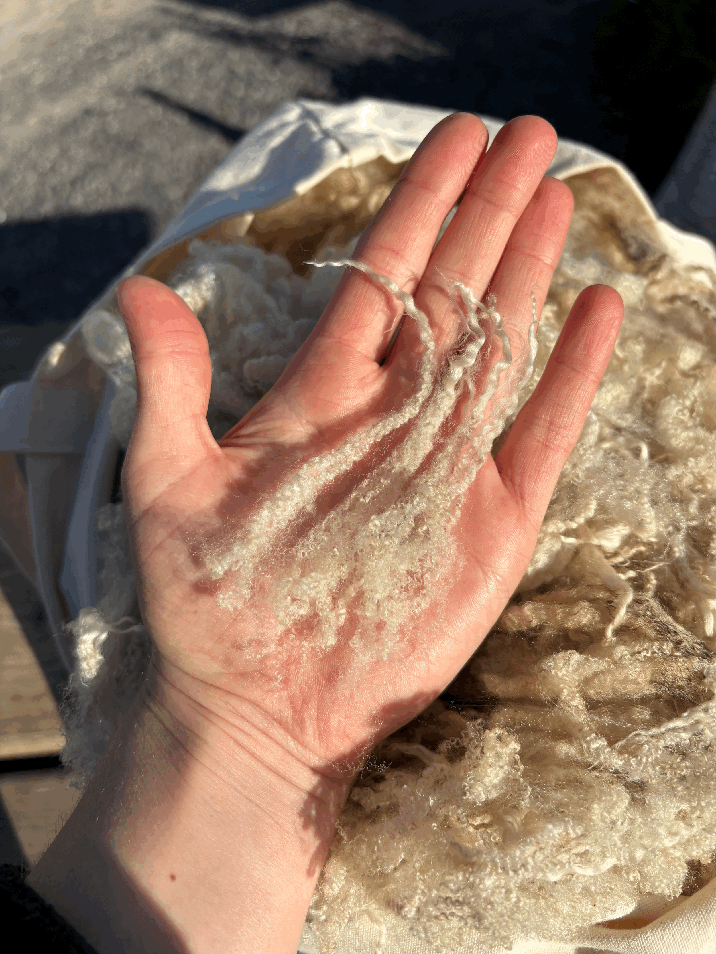 tempImageRnj6pH.gif