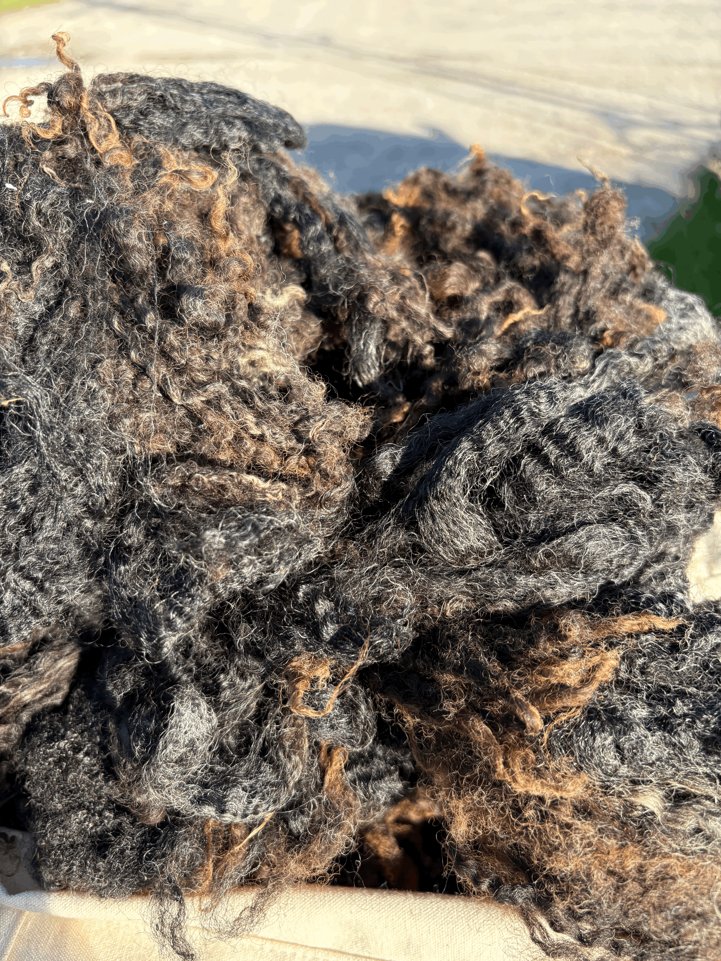 tempImageh7CU35.gif